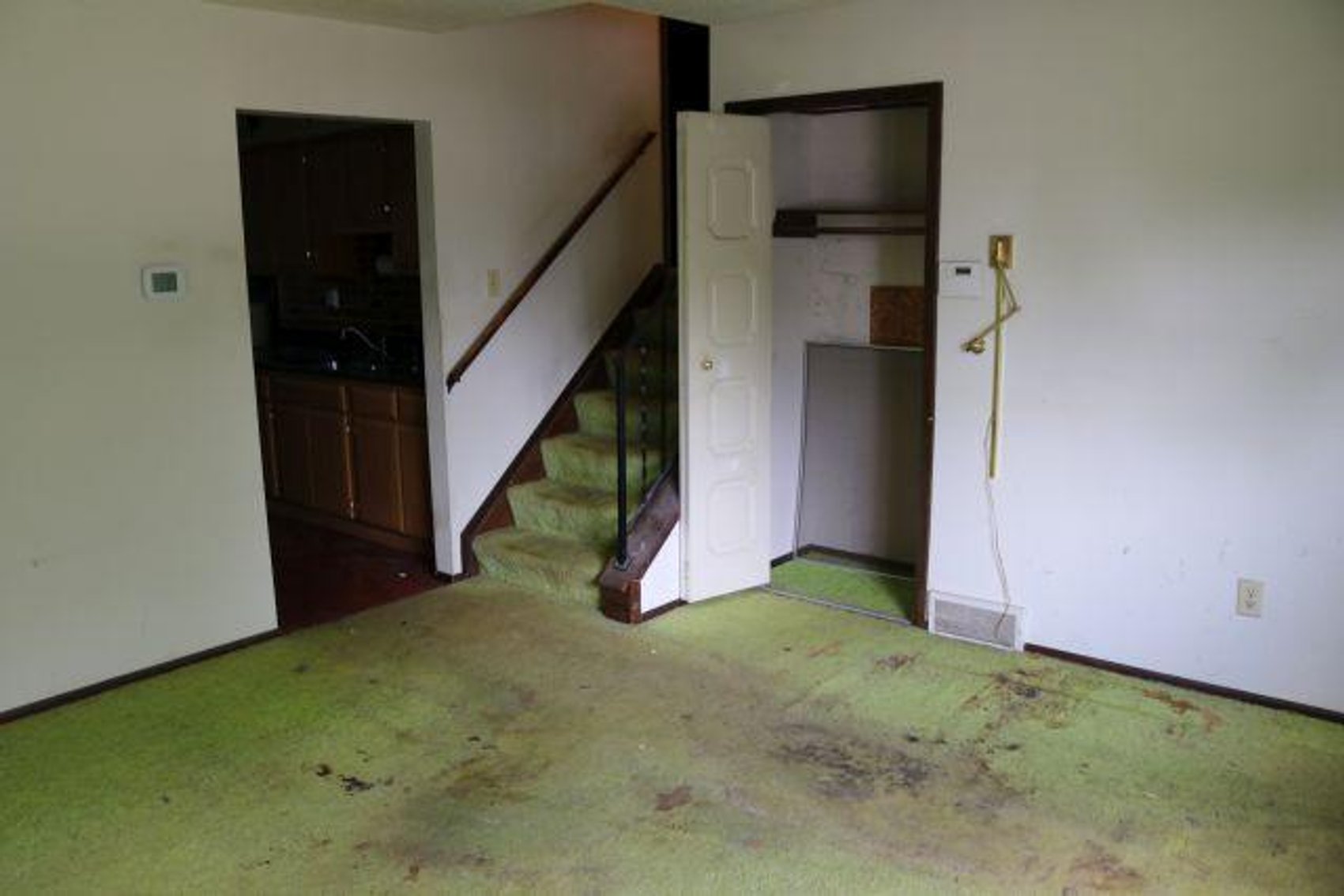 Image for DEEMS GUARDIANSHIP