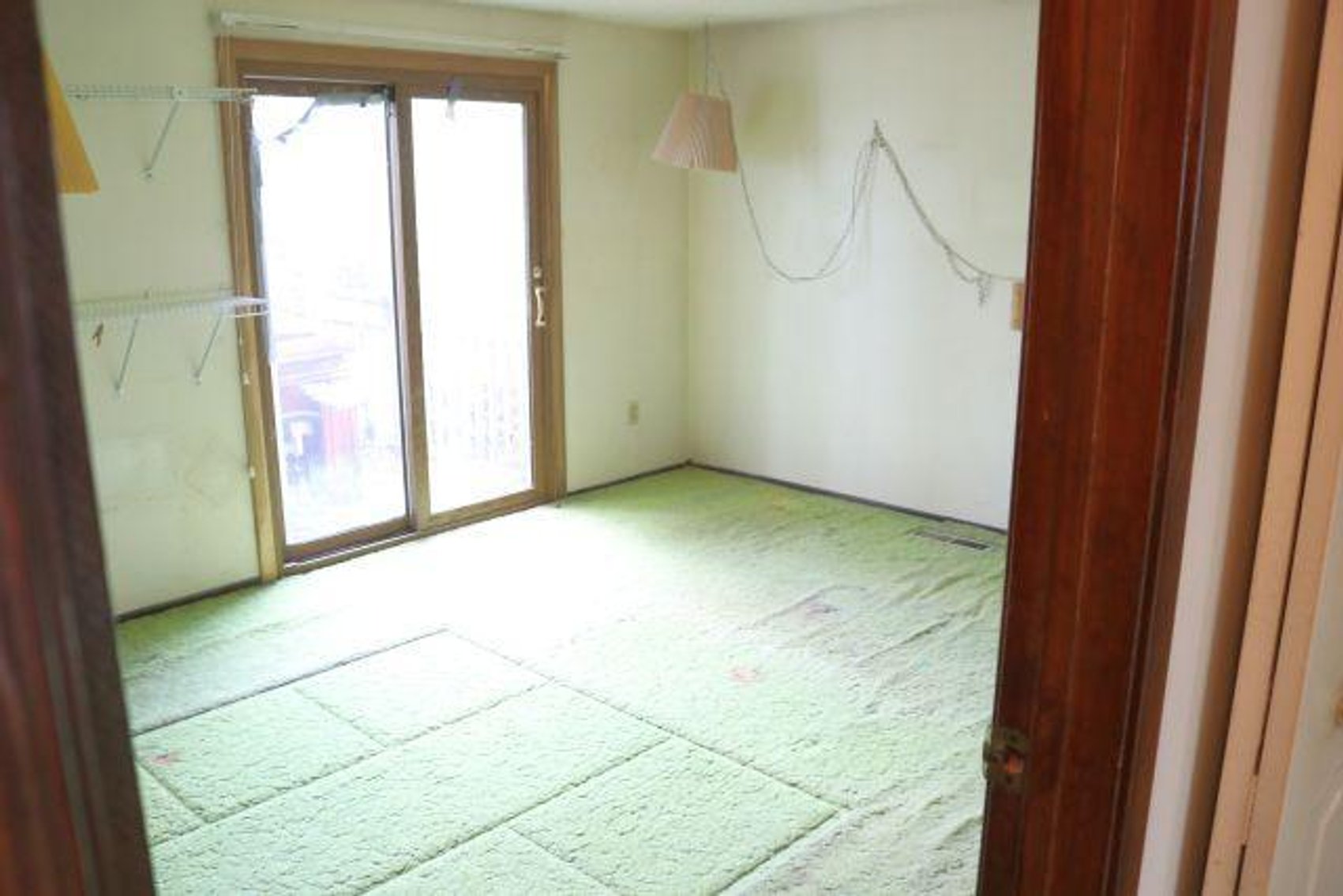 Image for DEEMS GUARDIANSHIP