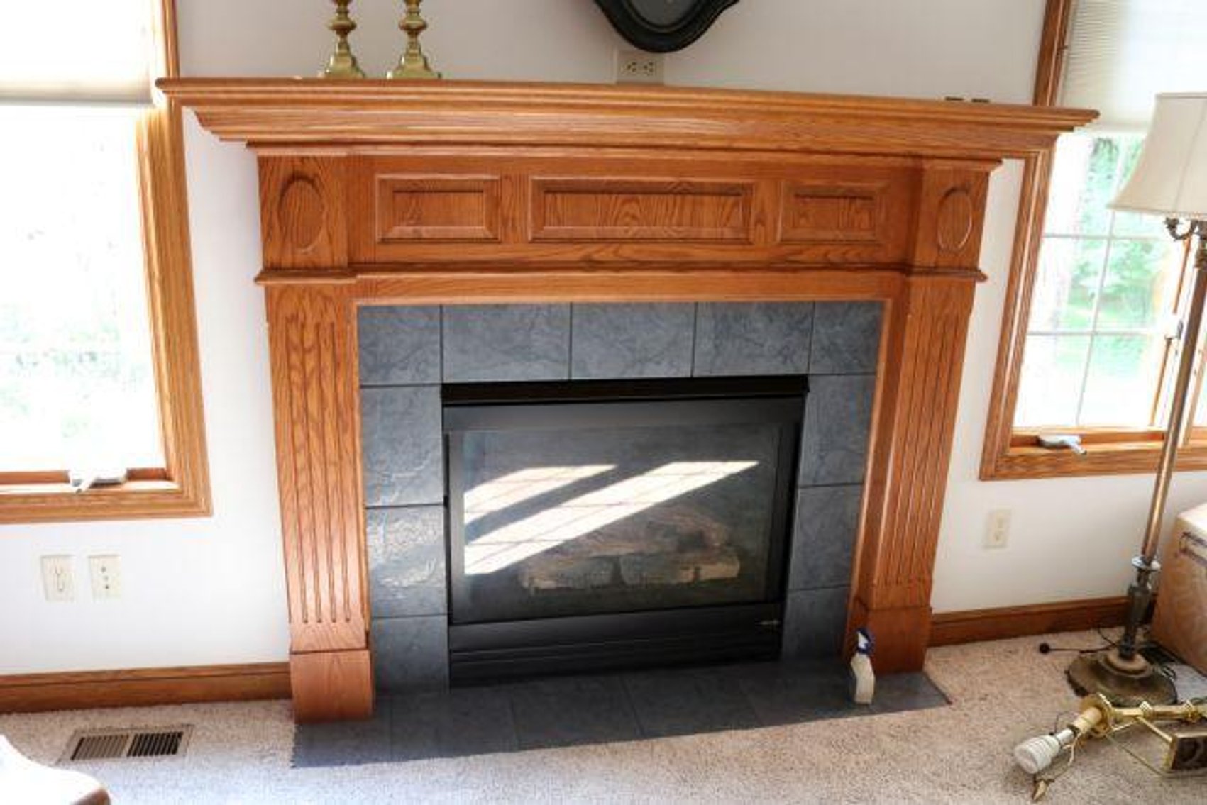 Image for 9 MALLARD PT