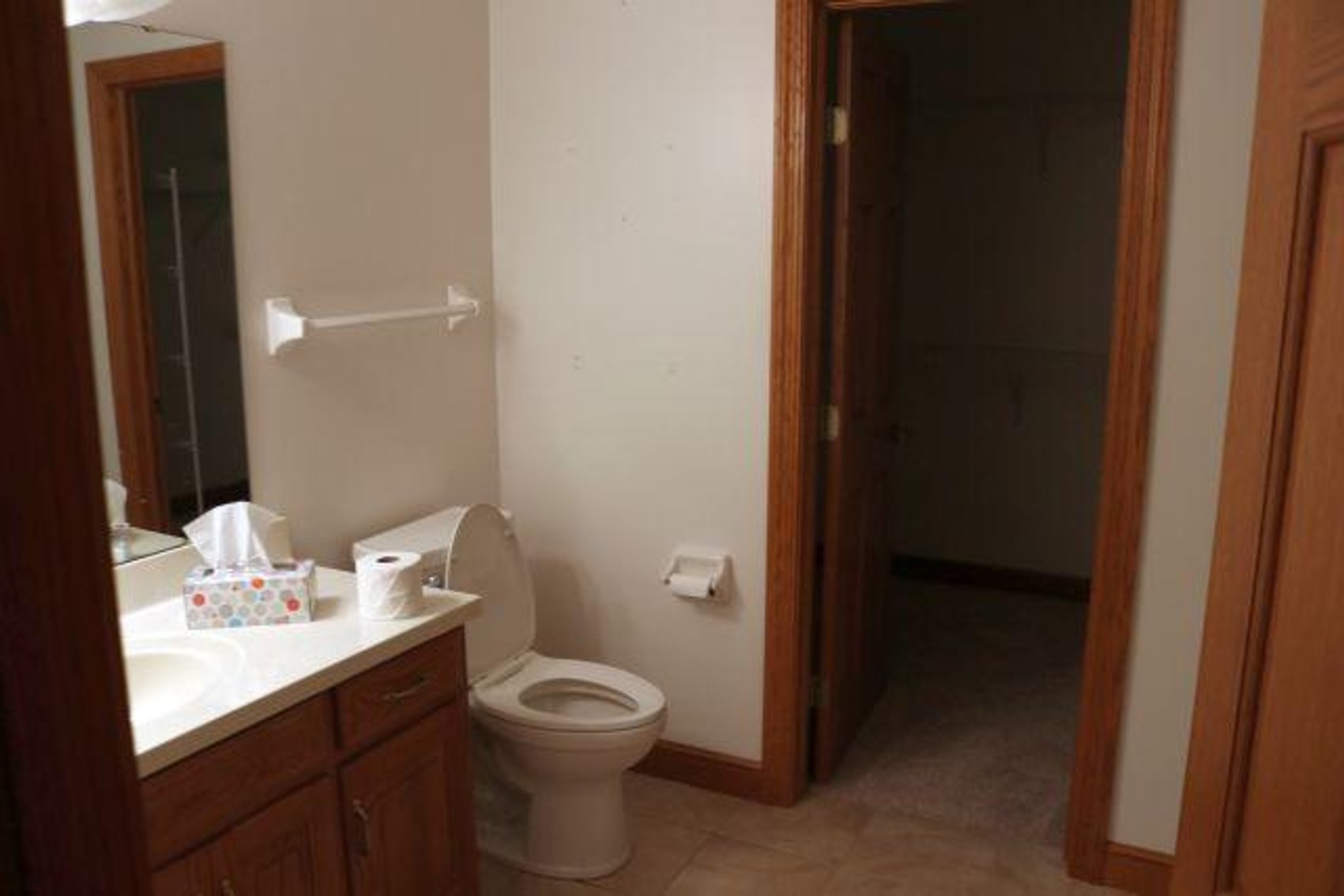 Image for 9 MALLARD PT