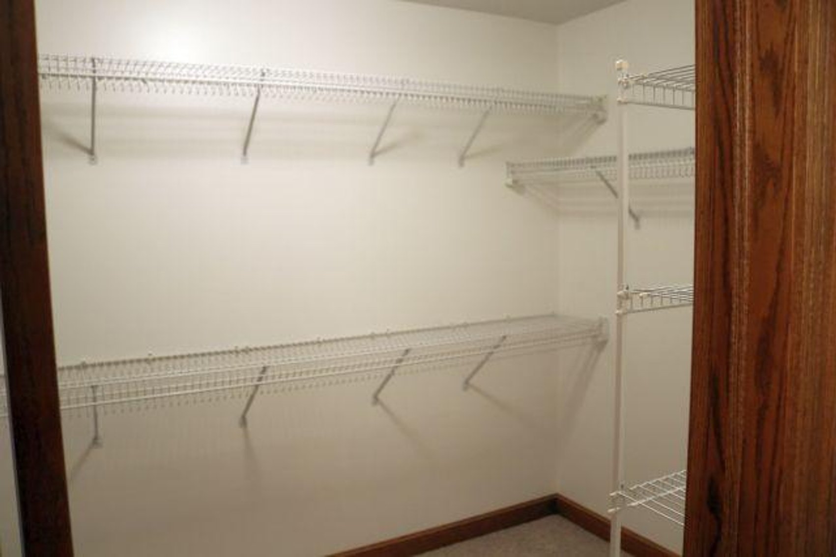 Image for 9 MALLARD PT