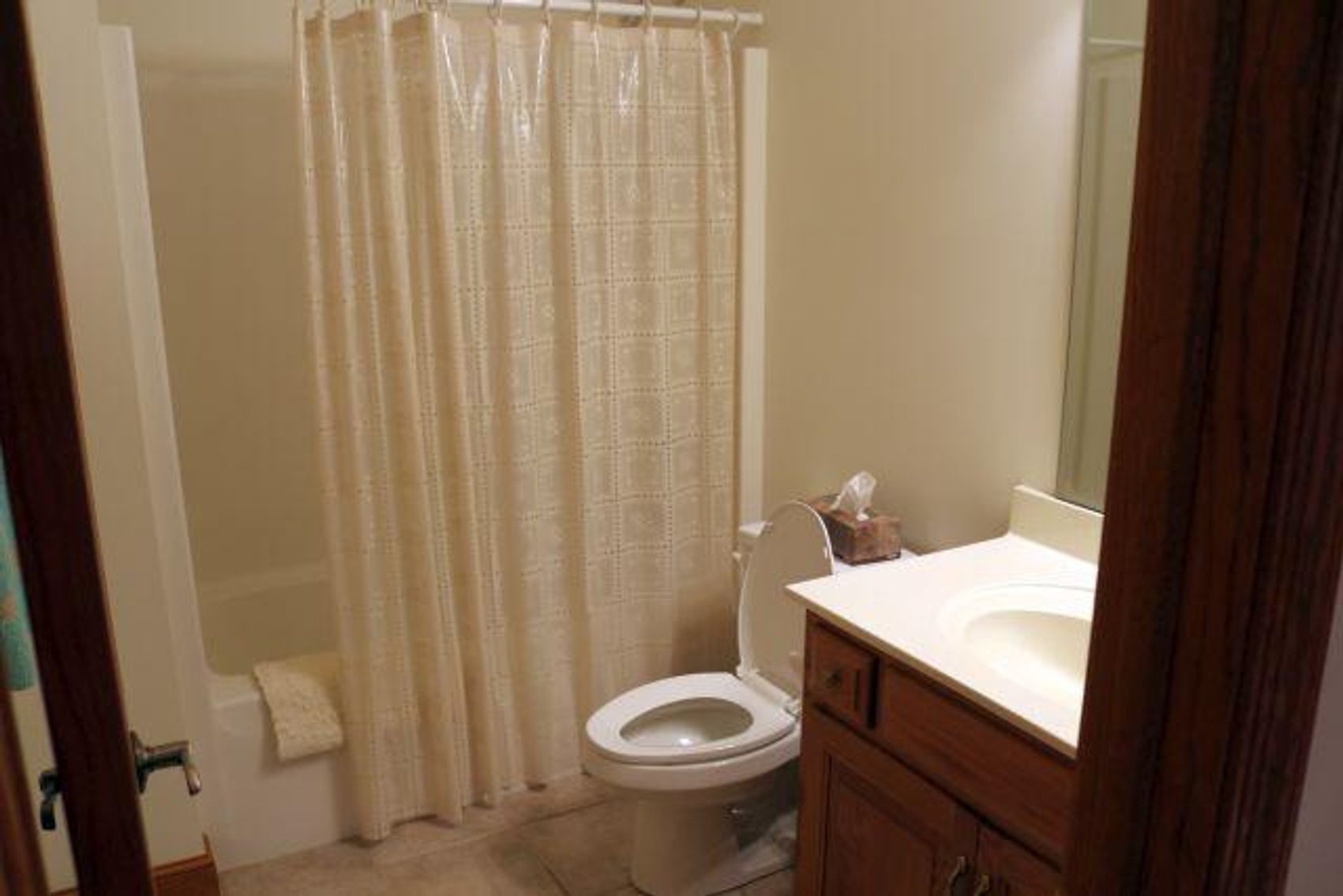 Image for 9 MALLARD PT