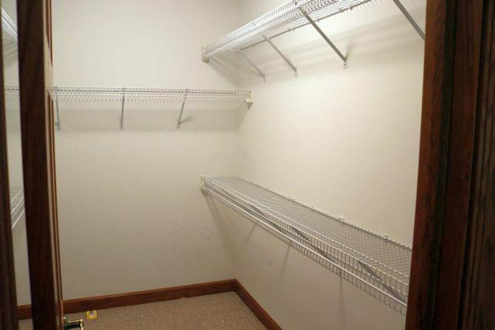 Image for 9 MALLARD PT