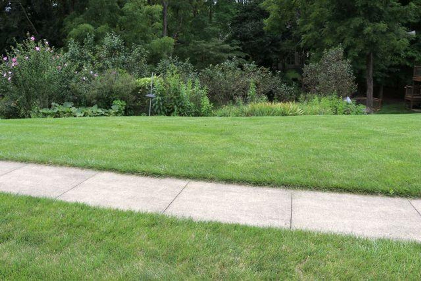 Image for 9 MALLARD PT