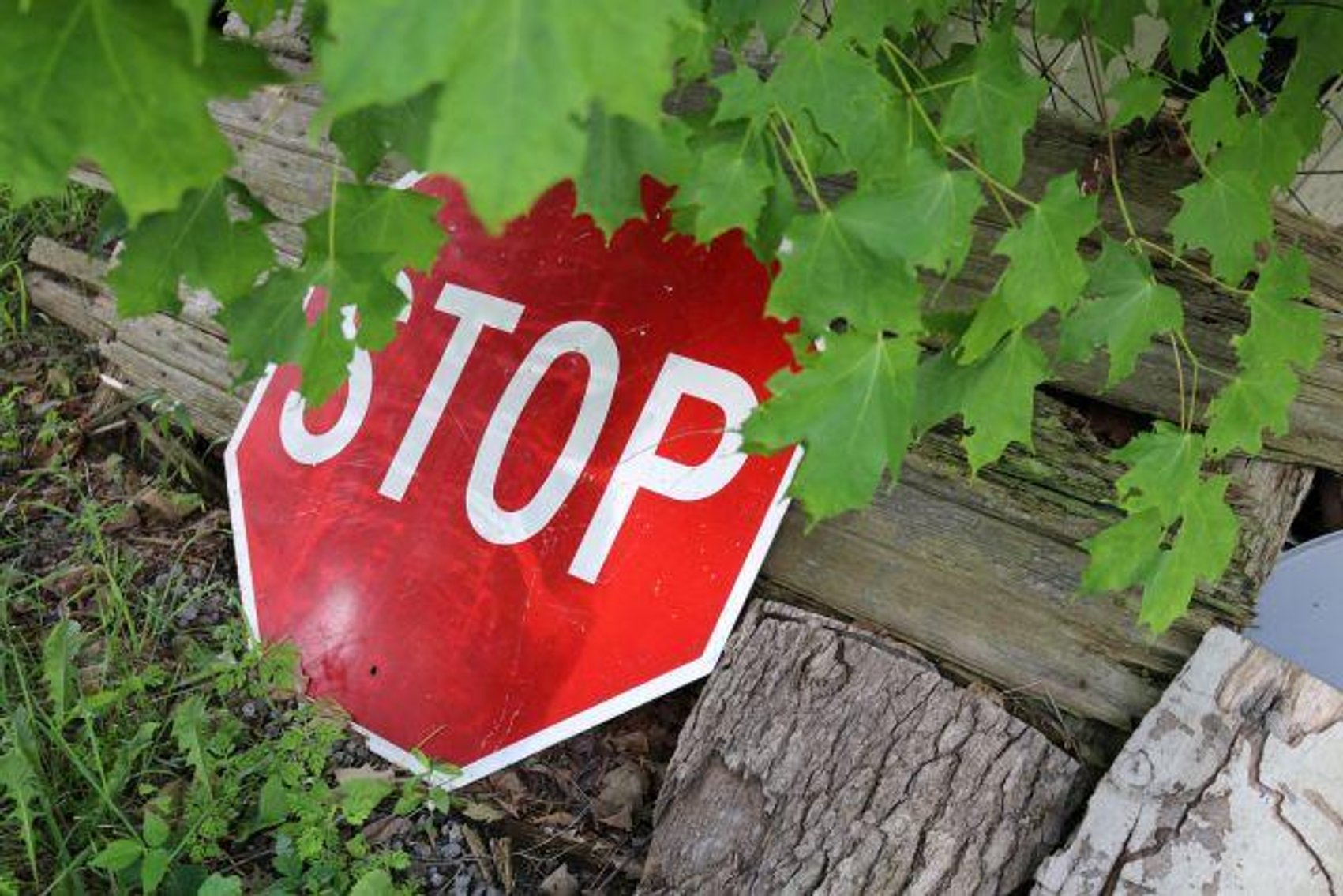 Image for ROBERTSON FAMILY REAL ESTATE & PERSONAL PROP.