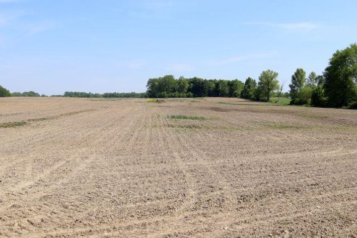 Image for 99 ACRES - HOUSE- POND