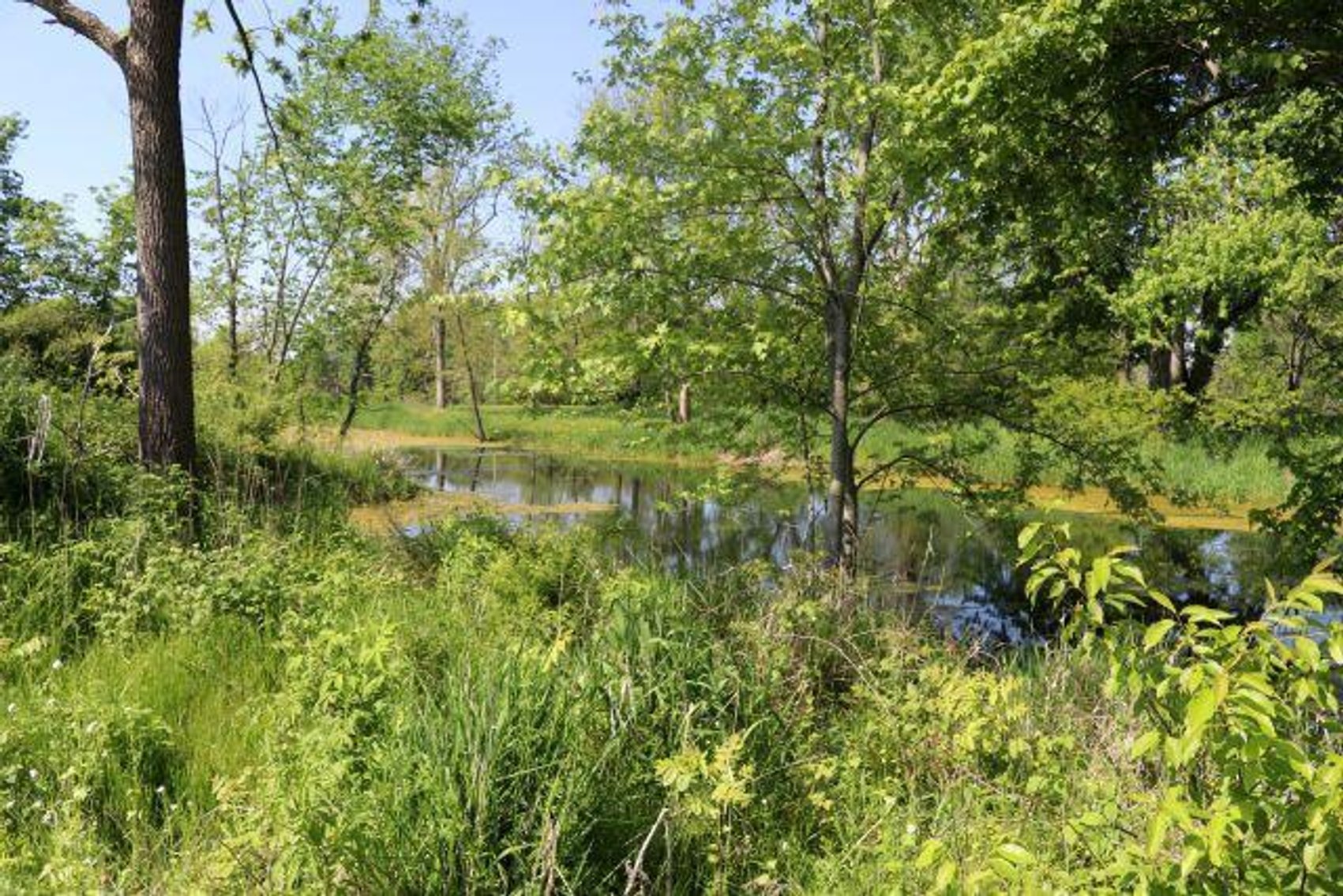 Image for 99 ACRES - HOUSE- POND