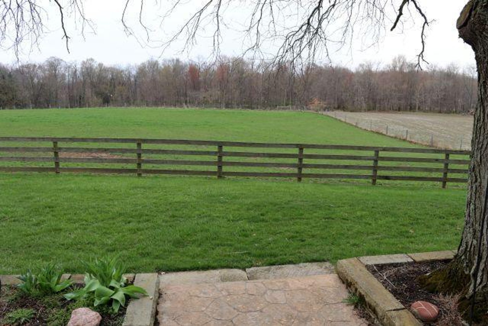 Image for SCHONAUER FAMILY FARM