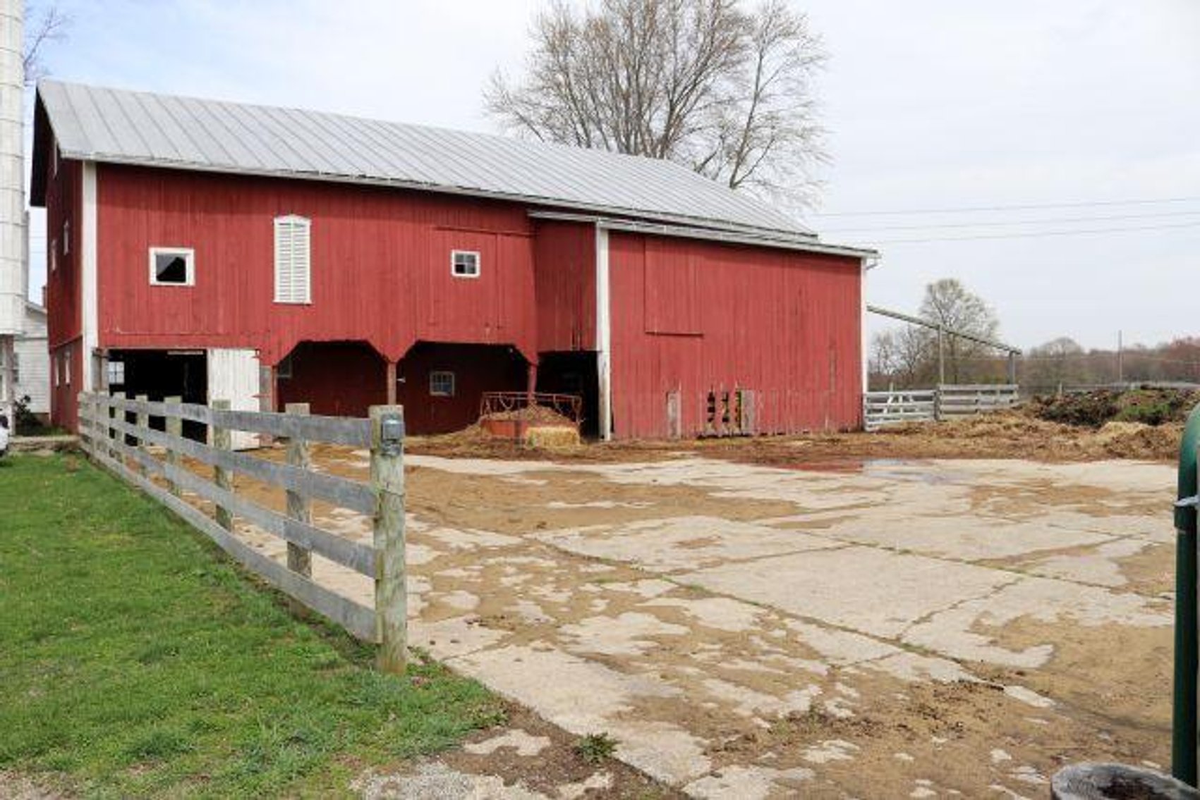 Image for SCHONAUER FAMILY FARM