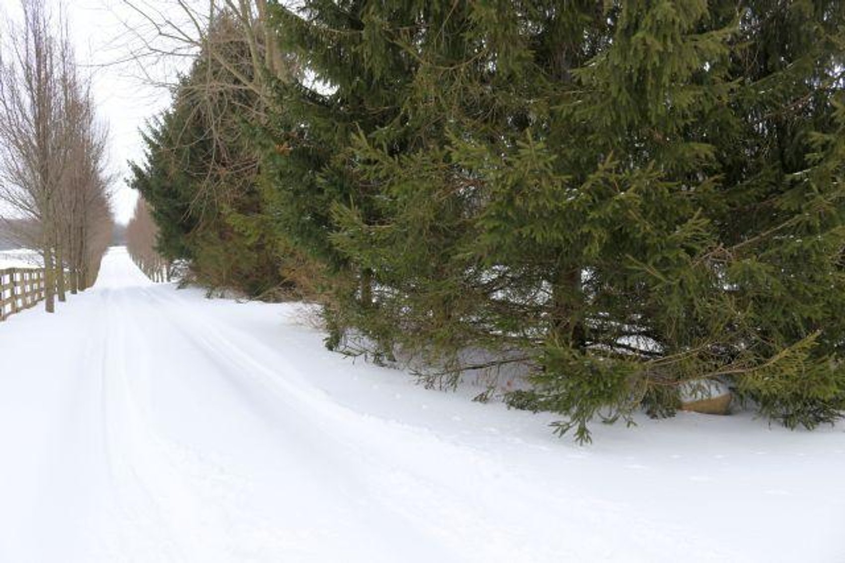 Image for 5835 NEWARK RD-ABSOLUTE AUCTION