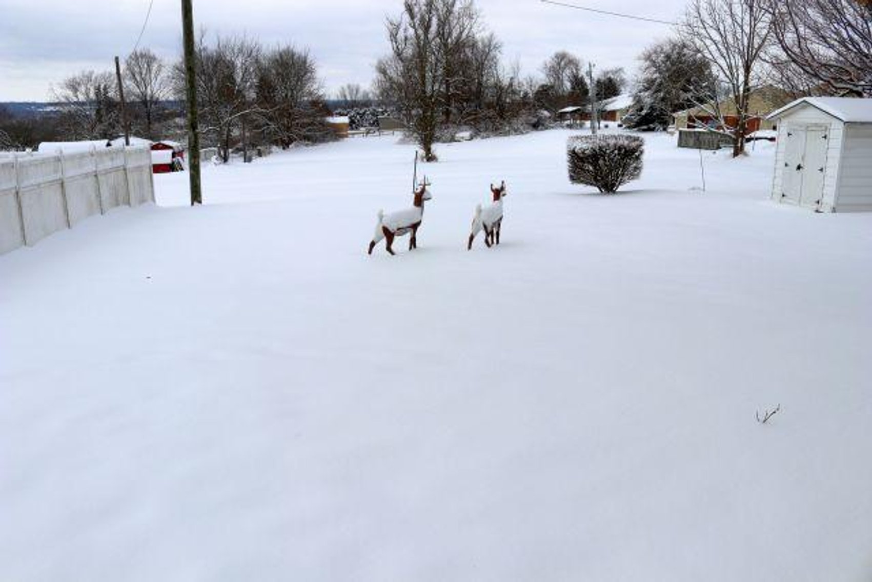 Image for 105 MILLER AVE.- ABSOLUTE AUCTION