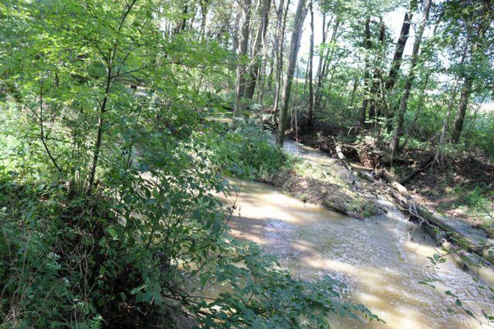 Image for ESTATE OF COLLEEN MATTOX-REAL ESTATE & PERSONAL PROPERTY