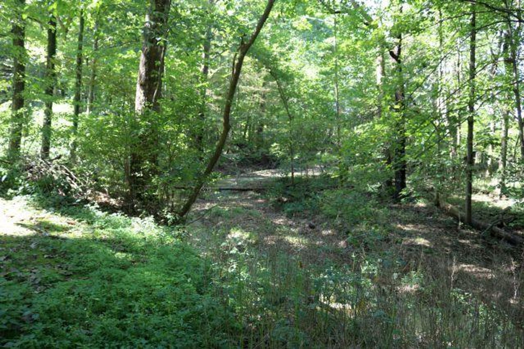 Image for ESTATE OF COLLEEN MATTOX-REAL ESTATE & PERSONAL PROPERTY