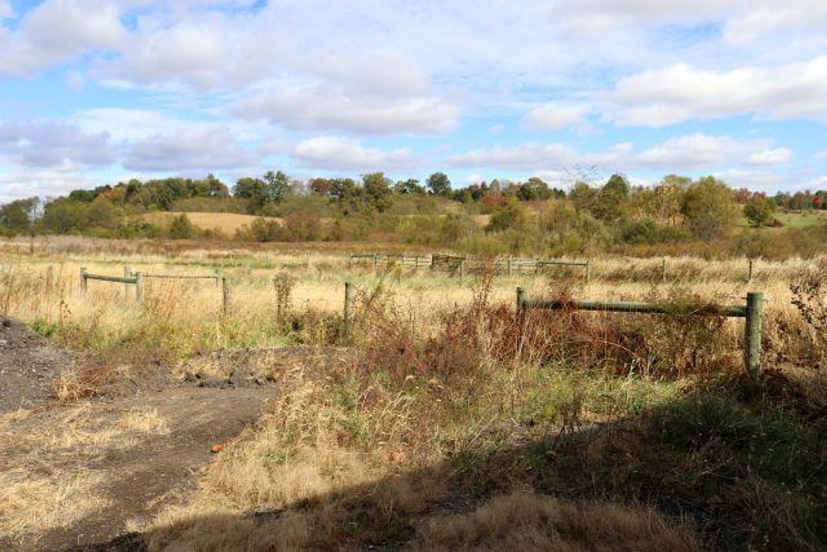 Image for 20077 SYCAMORE RD