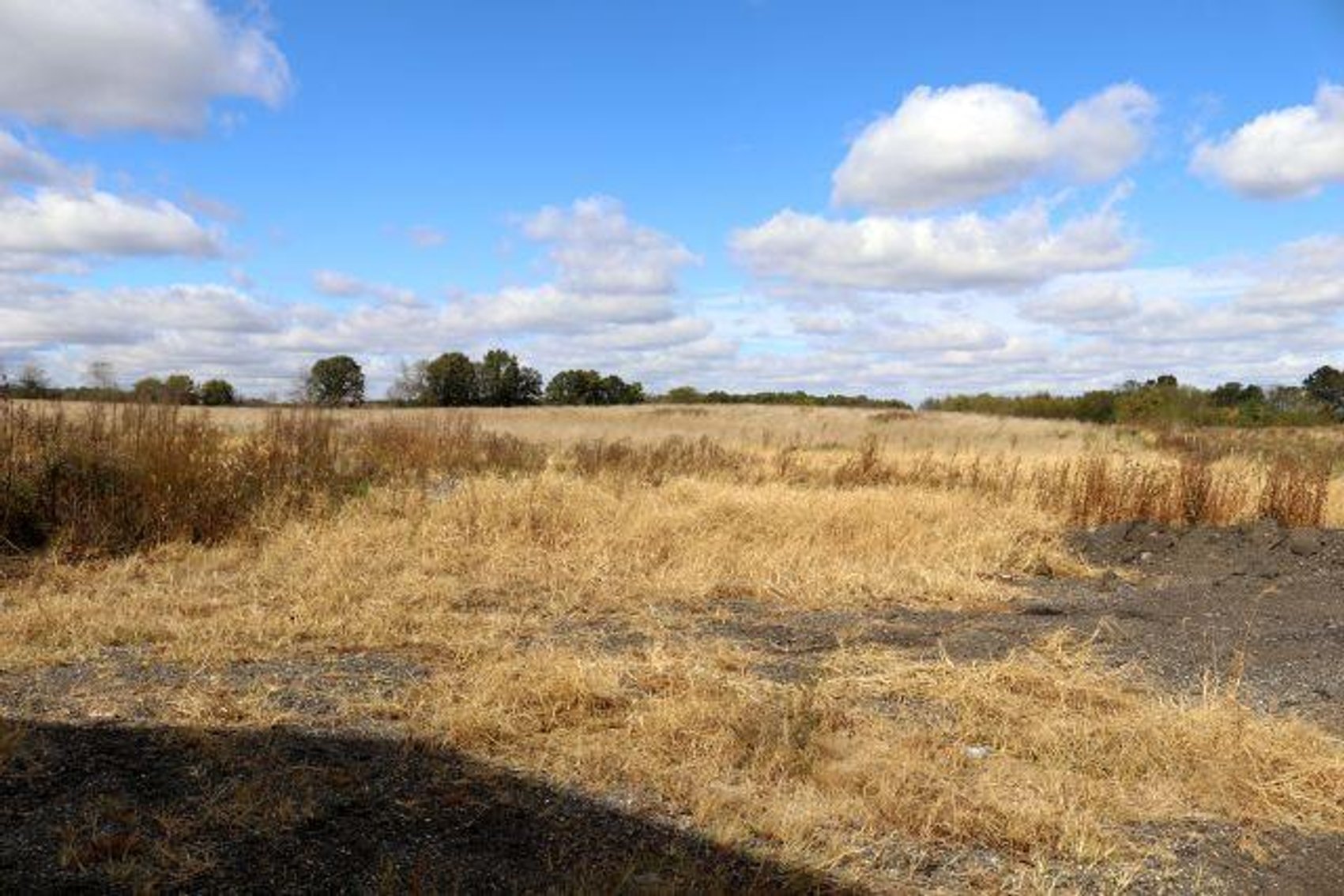 Image for 20077 SYCAMORE RD