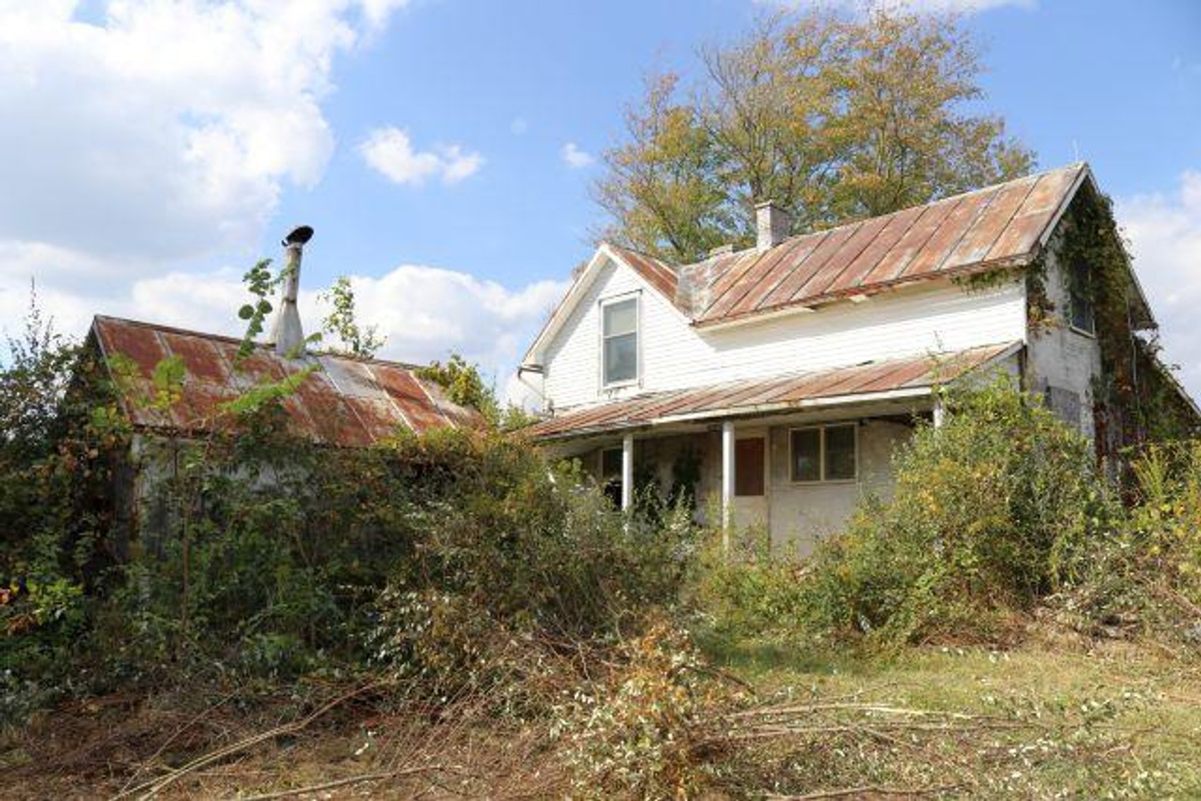 Image for 11540 AIRPORT RD - 19+ ACRES