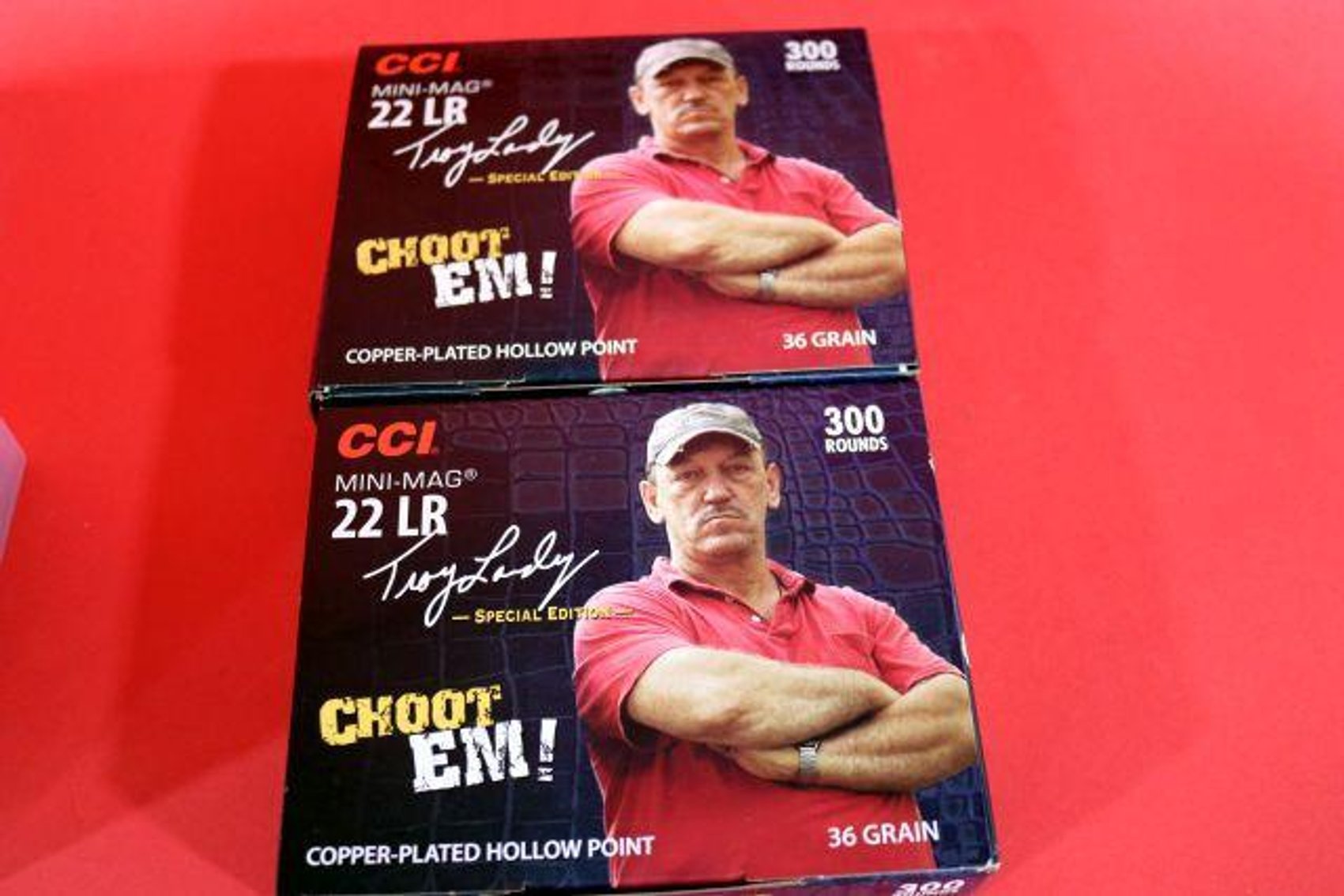 Image for GUN SAFES-HOLSTERS-AMMUNITION-BAYONETS