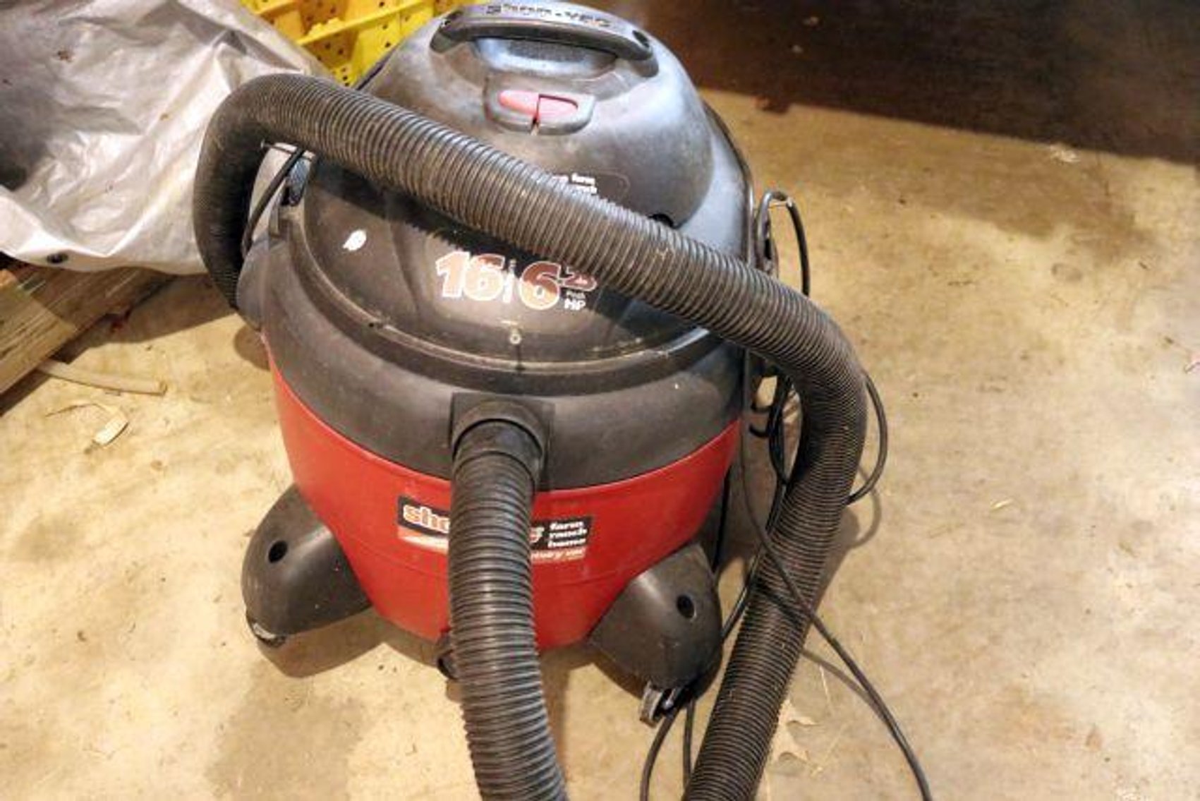 Image for SCHOLL FAMILY AUCTION