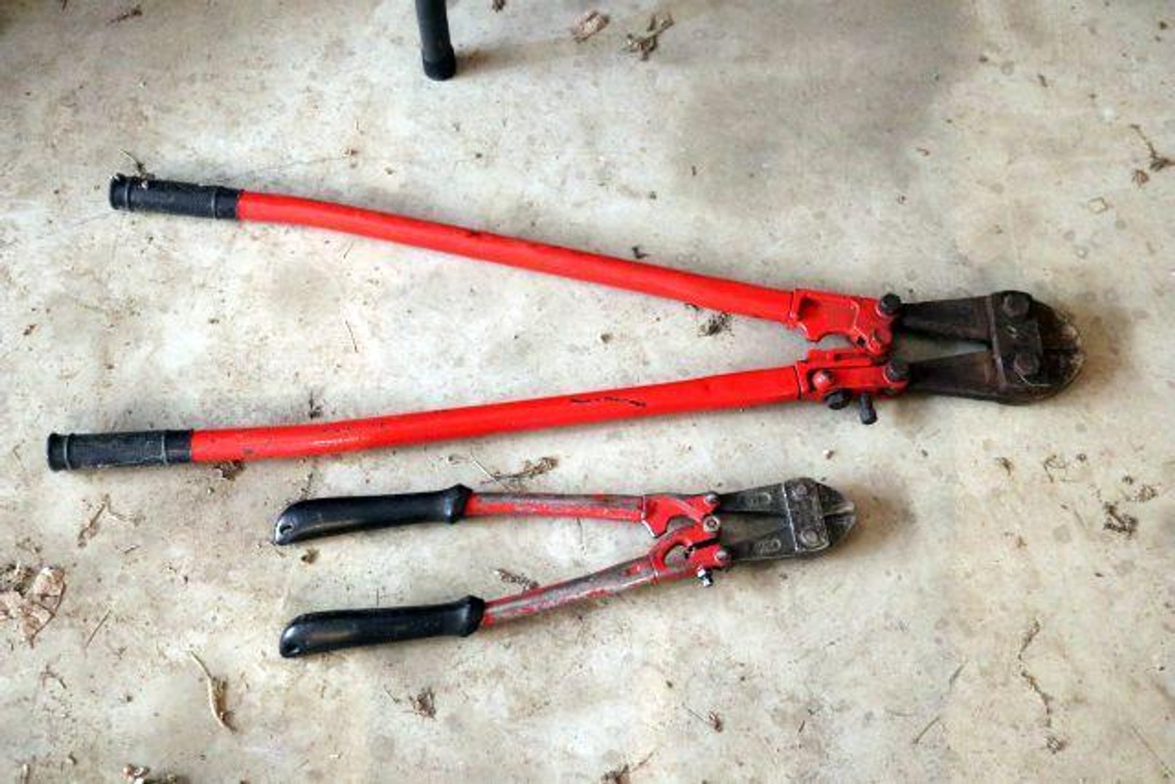 Image for SCHOLL FAMILY AUCTION