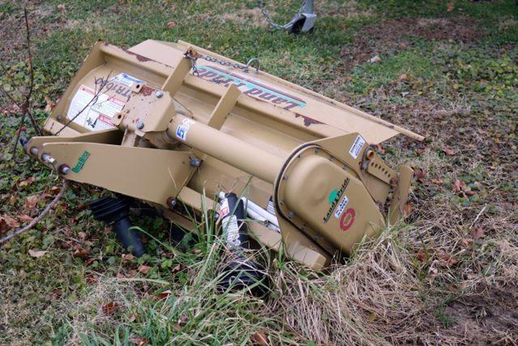 Image for MORTON TRUST AUCTION