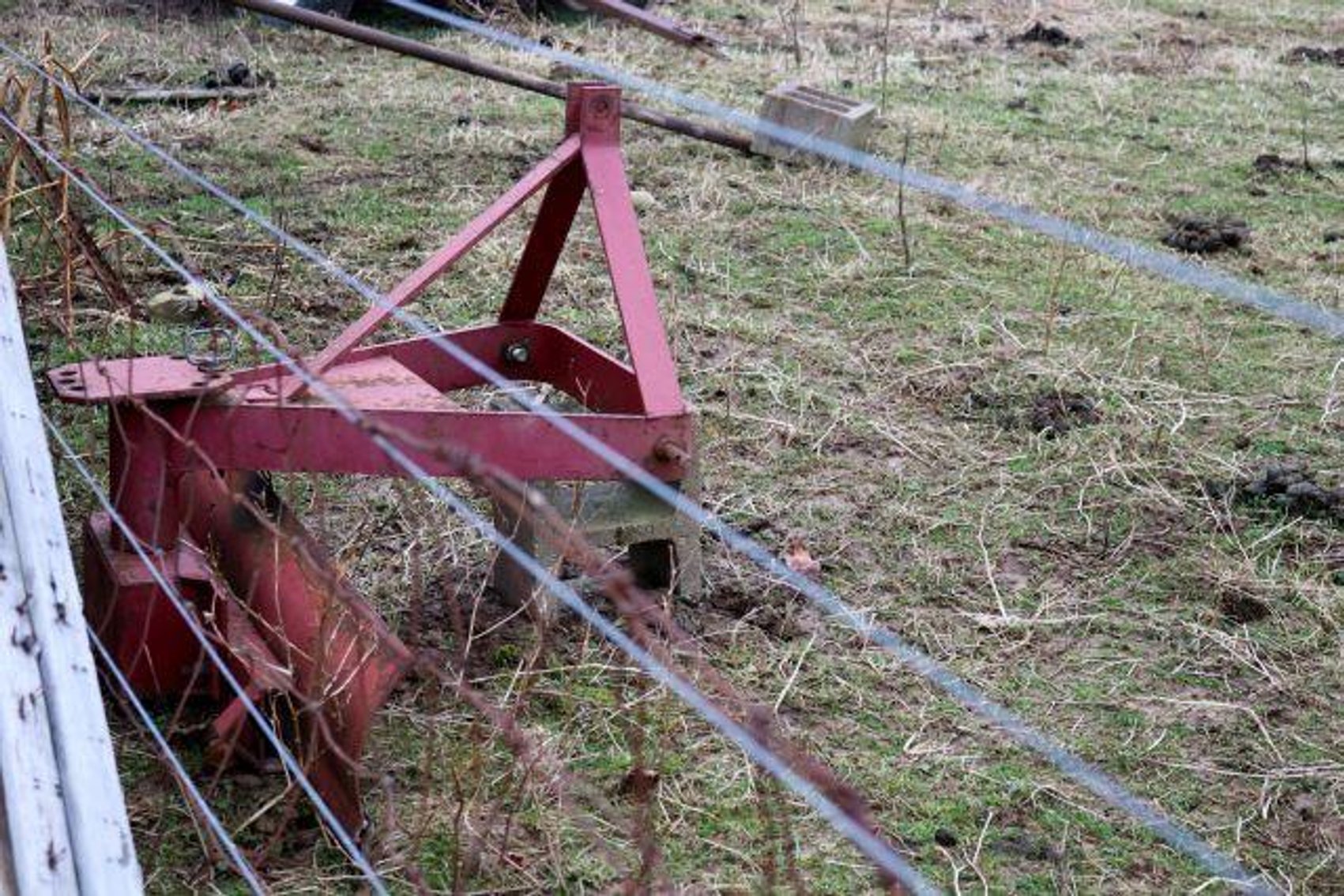 Image for MORTON TRUST AUCTION