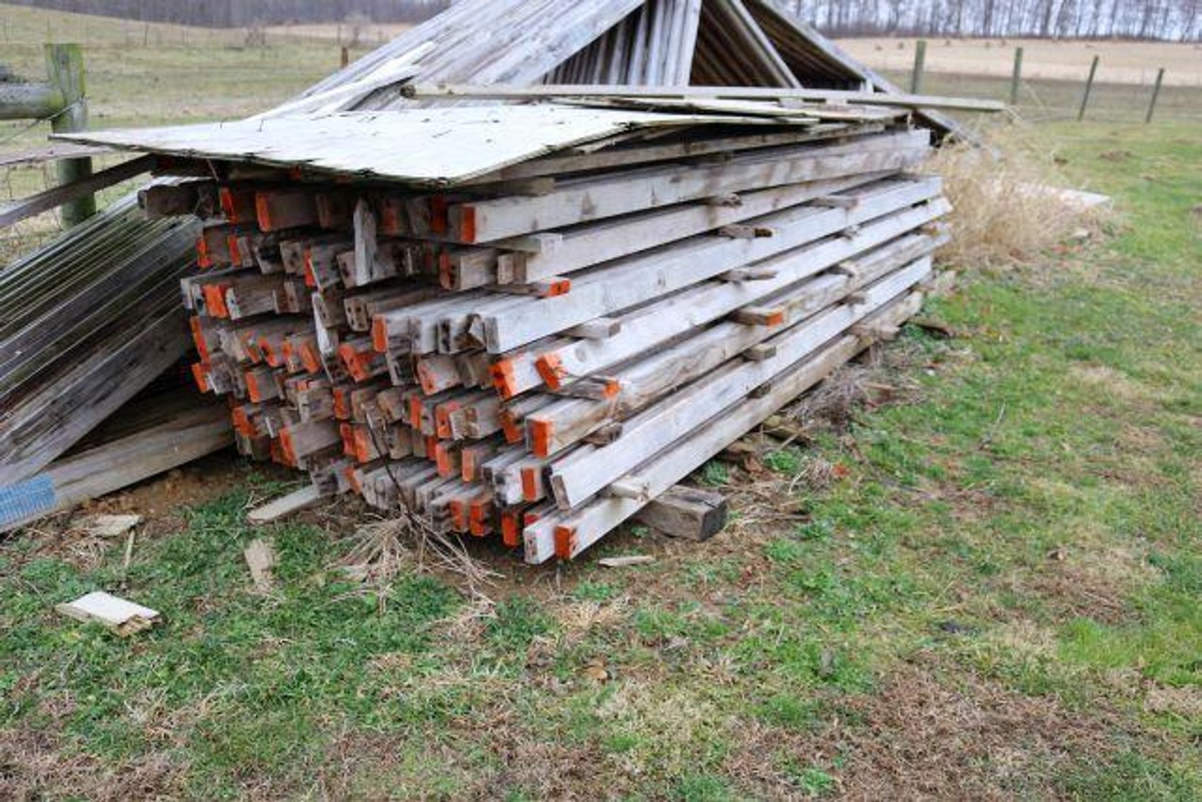 Image for MORTON TRUST AUCTION