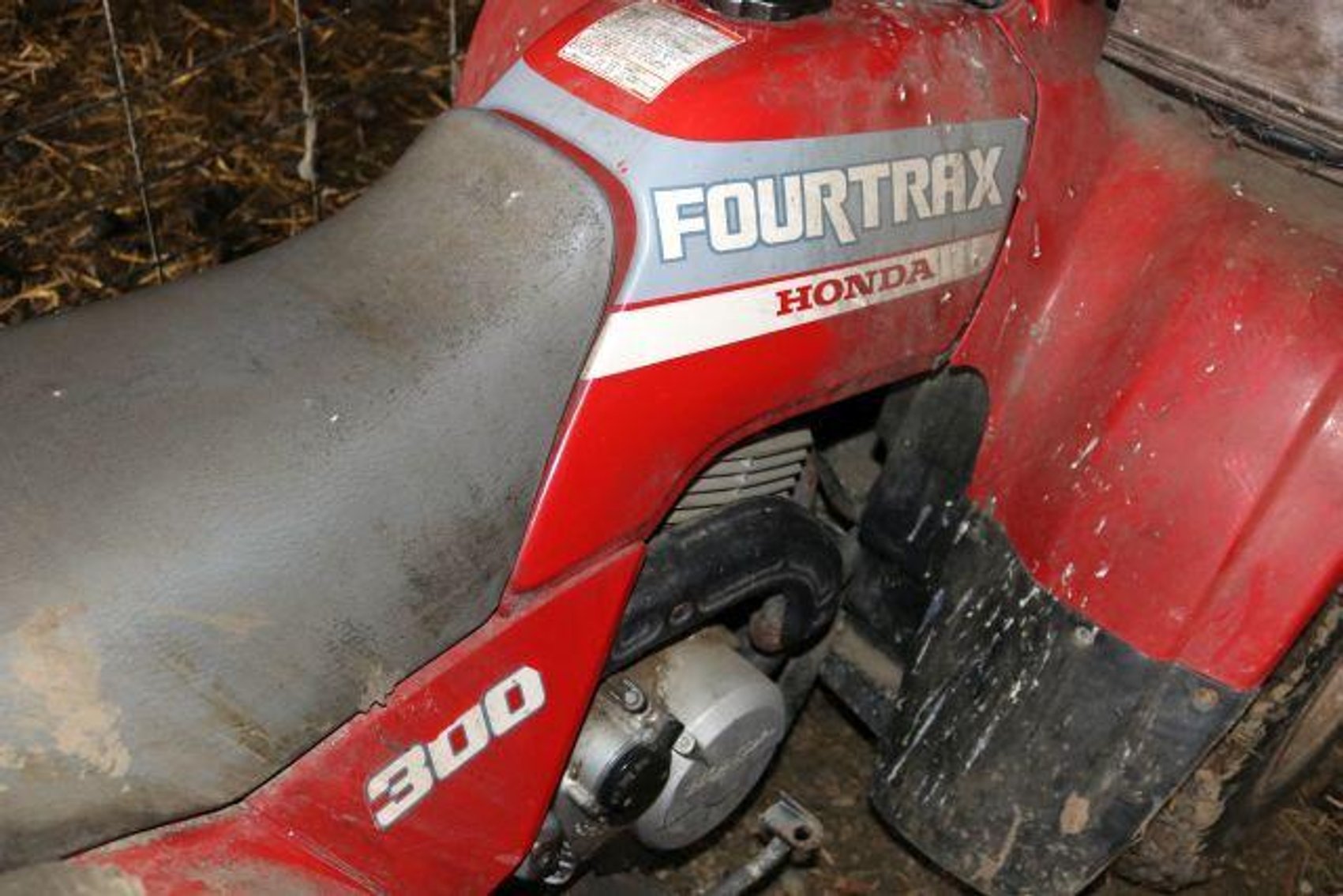 Image for MORTON TRUST AUCTION