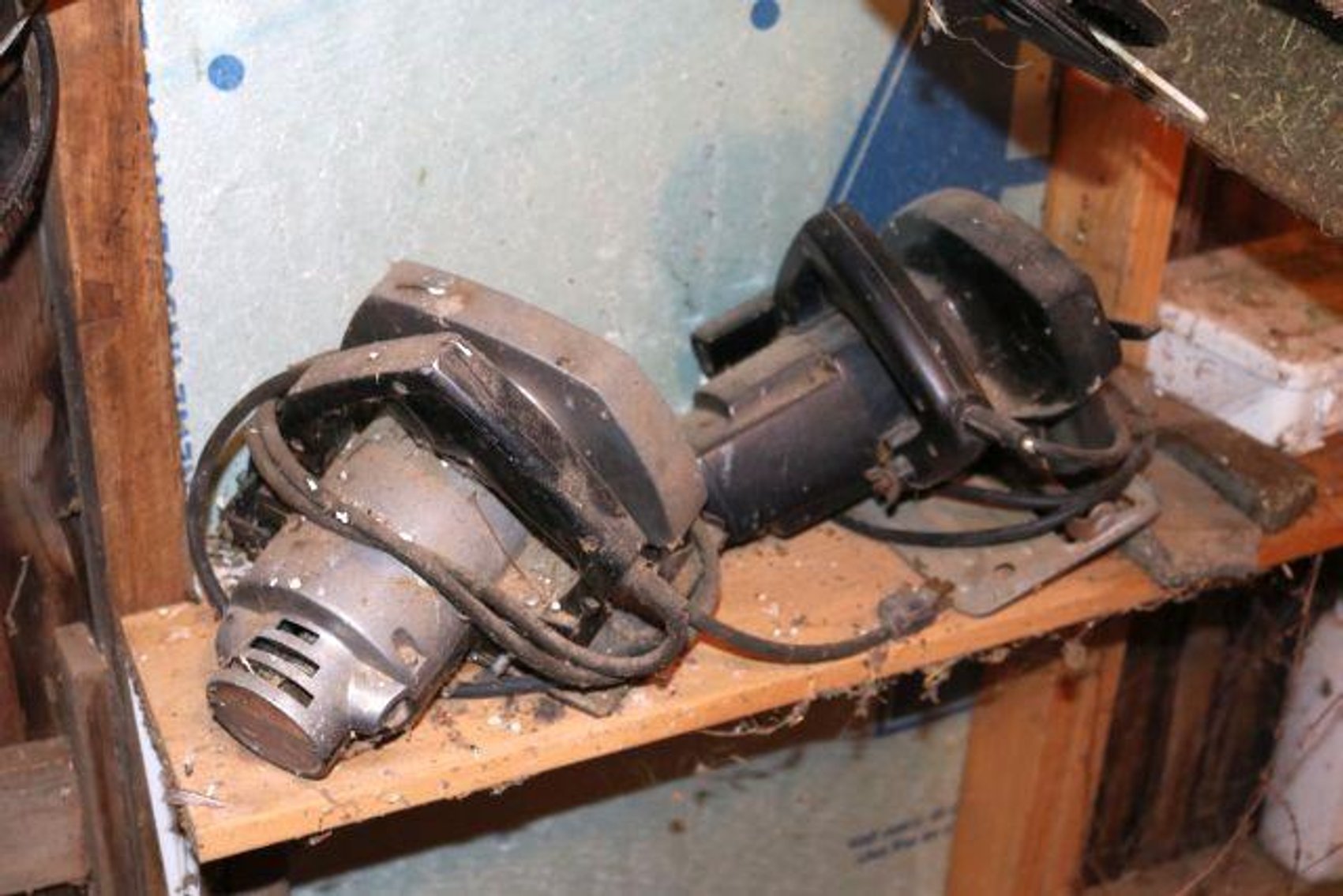 Image for MORTON TRUST AUCTION