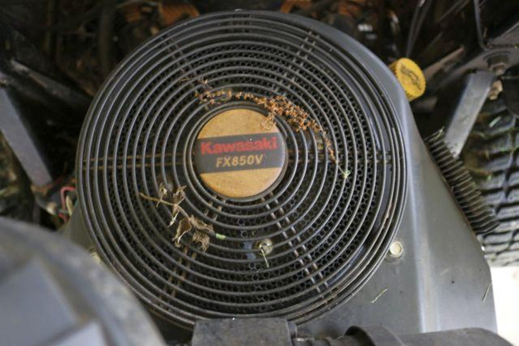 Image for HILTON FAMILY AUCTION