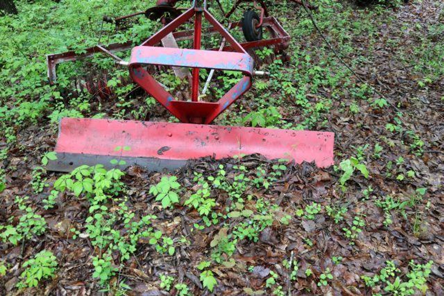 Image for HILTON FAMILY AUCTION