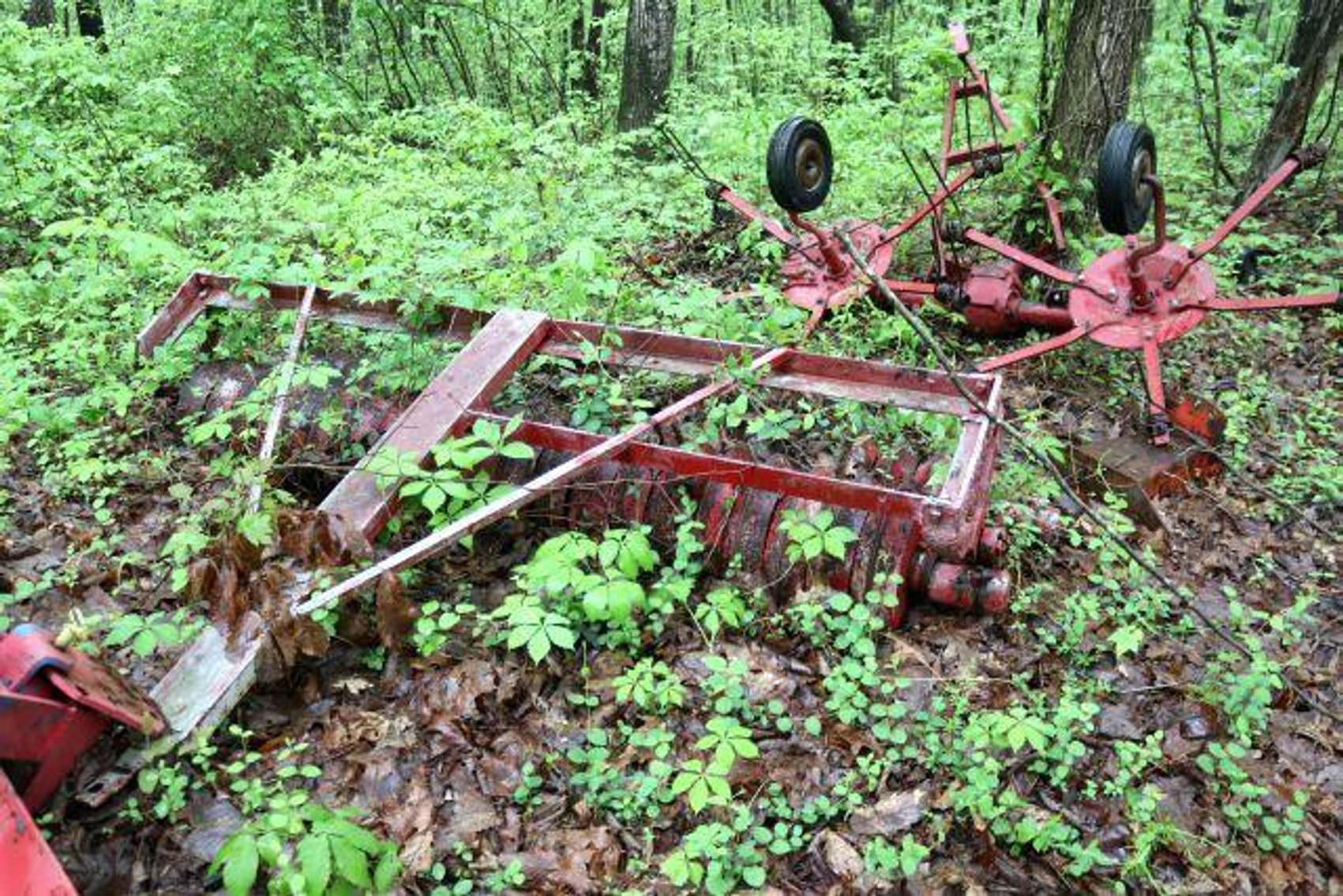 Image for HILTON FAMILY AUCTION