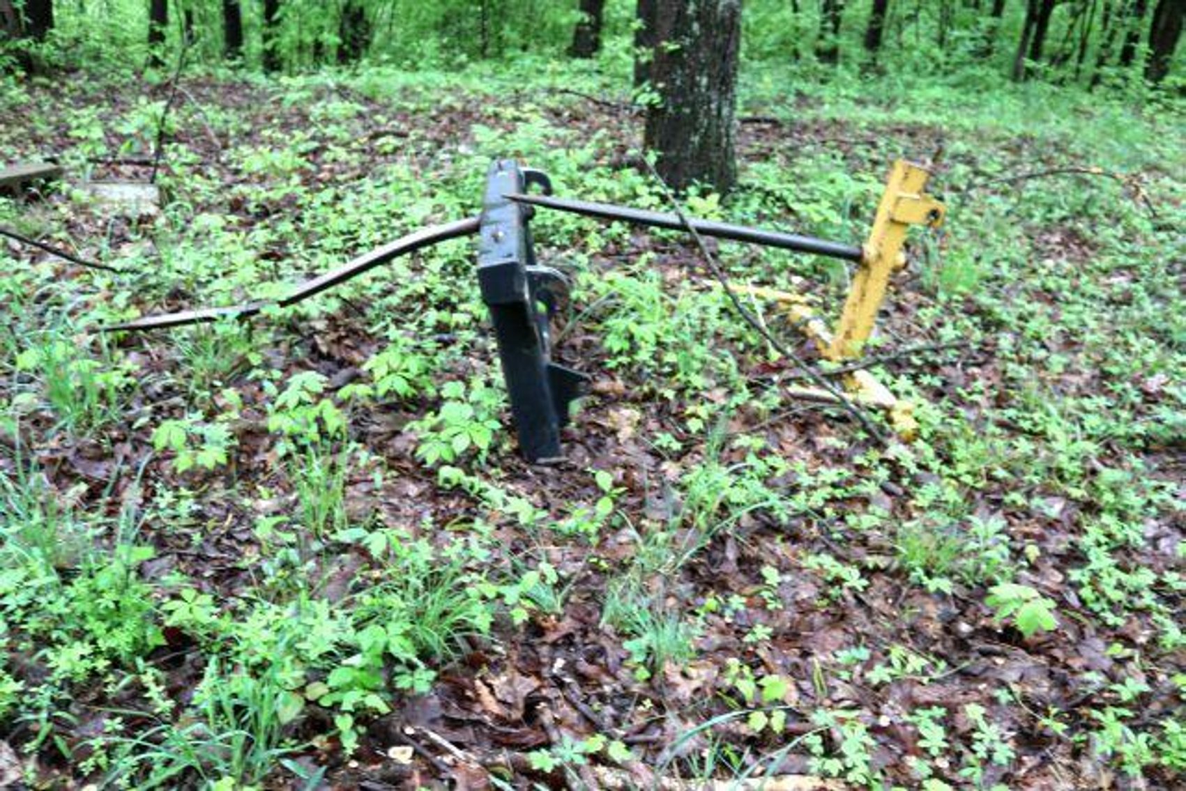 Image for HILTON FAMILY AUCTION