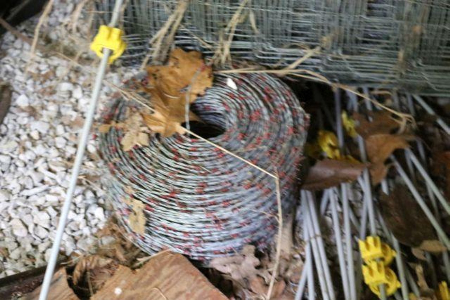 Image for HILTON FAMILY AUCTION