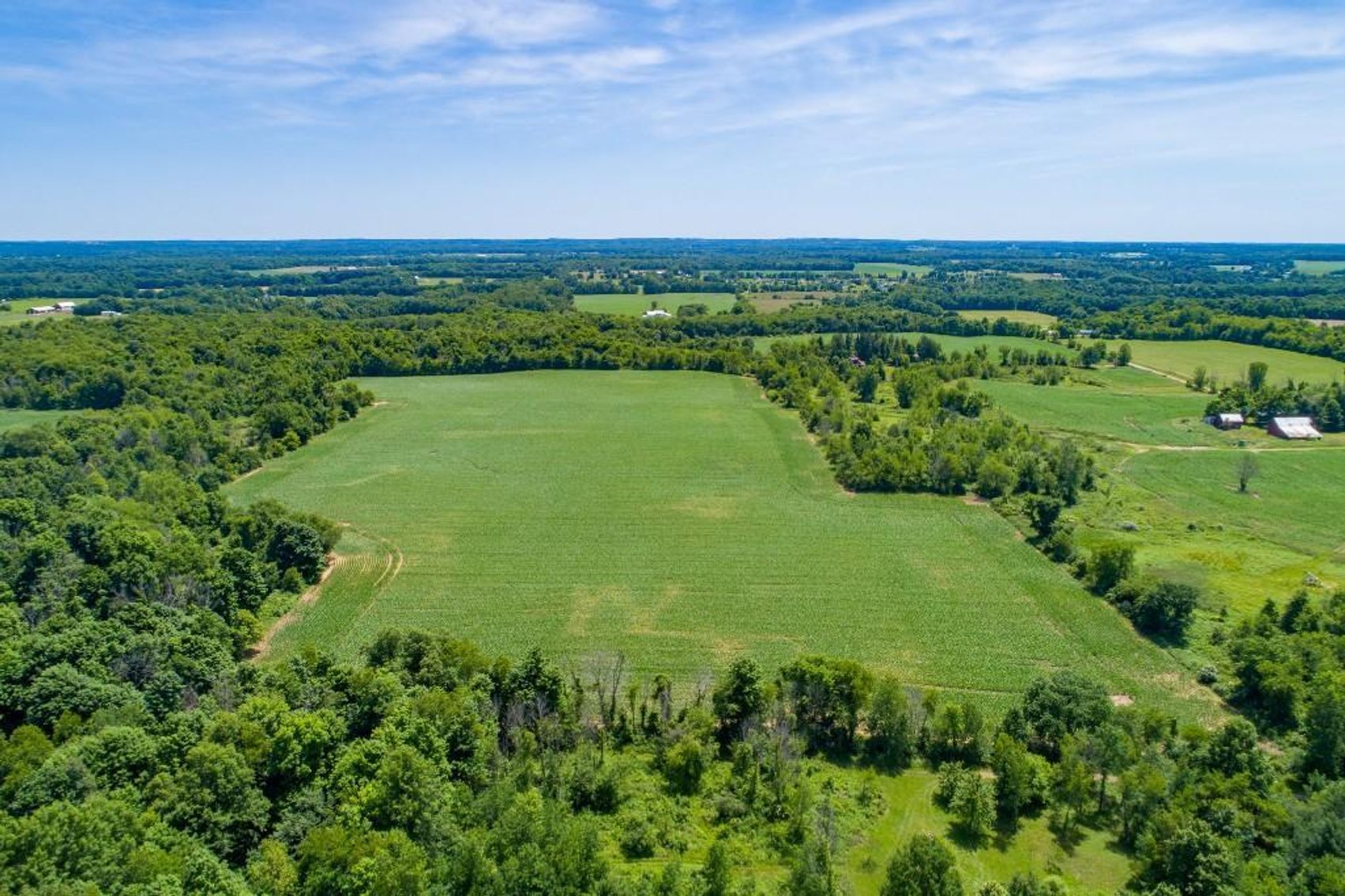 Image for 149 ACRES - 2 HOUSES - MULTI PARCEL