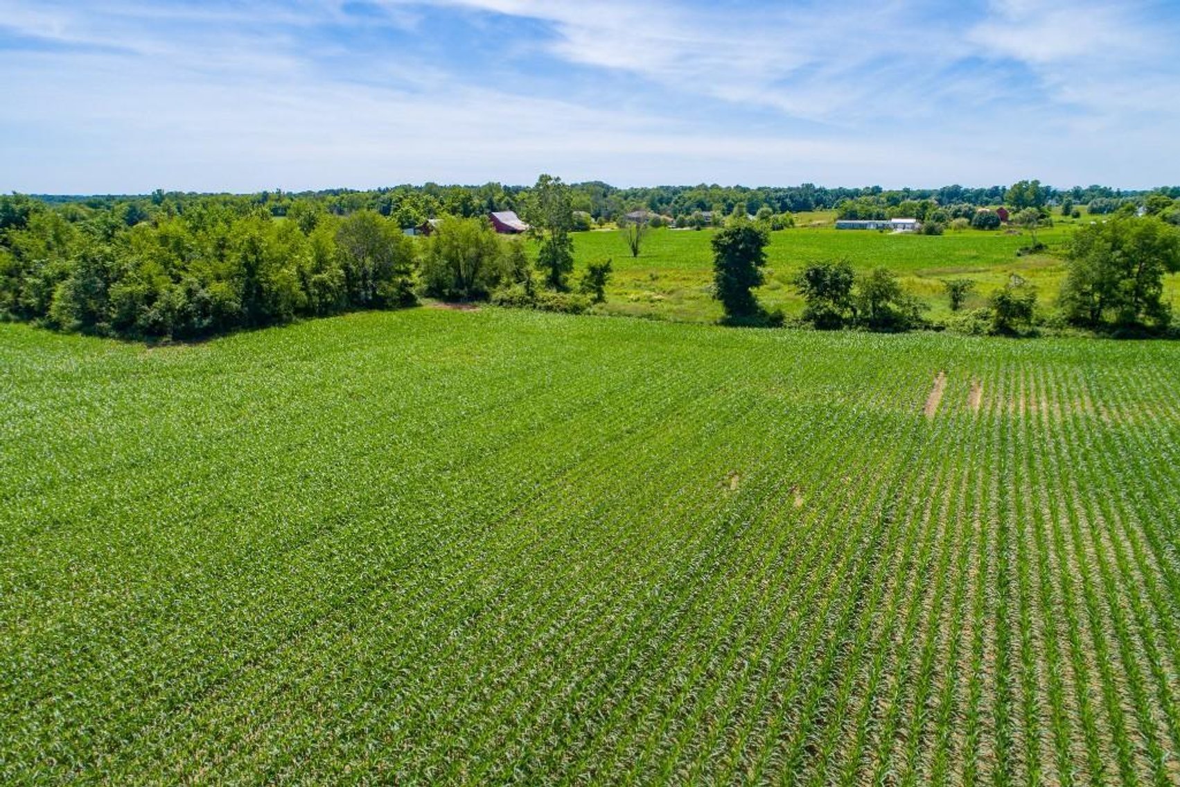 Image for 149 ACRES - 2 HOUSES - MULTI PARCEL