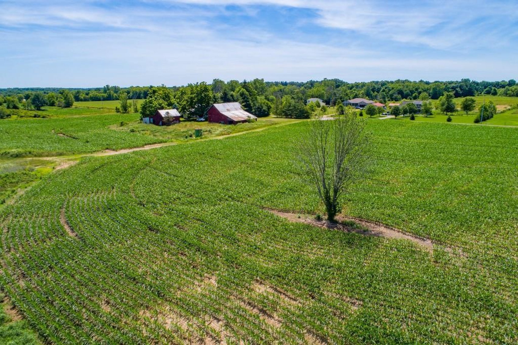 Image for 149 ACRES - 2 HOUSES - MULTI PARCEL