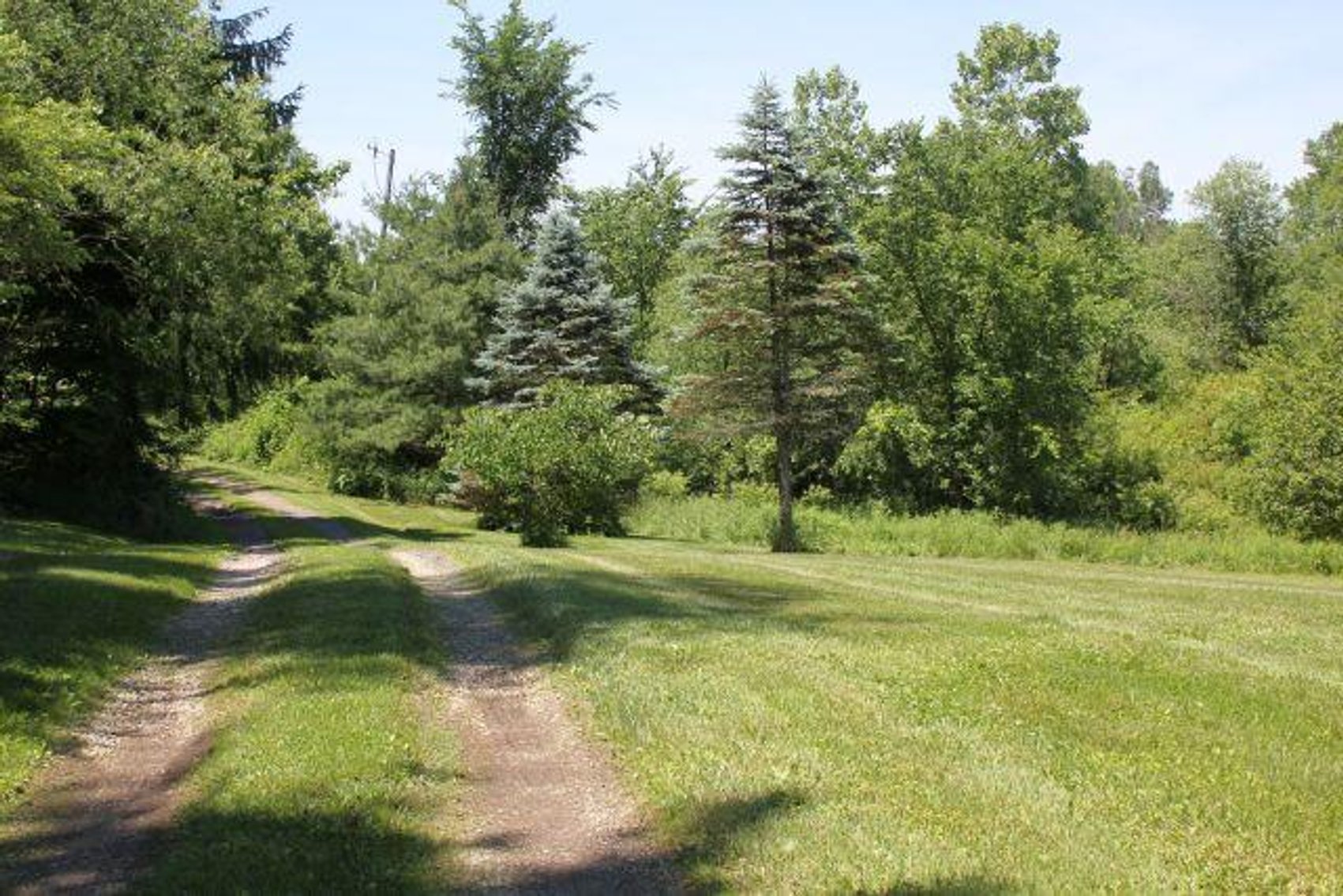 Image for 149 ACRES - 2 HOUSES - MULTI PARCEL