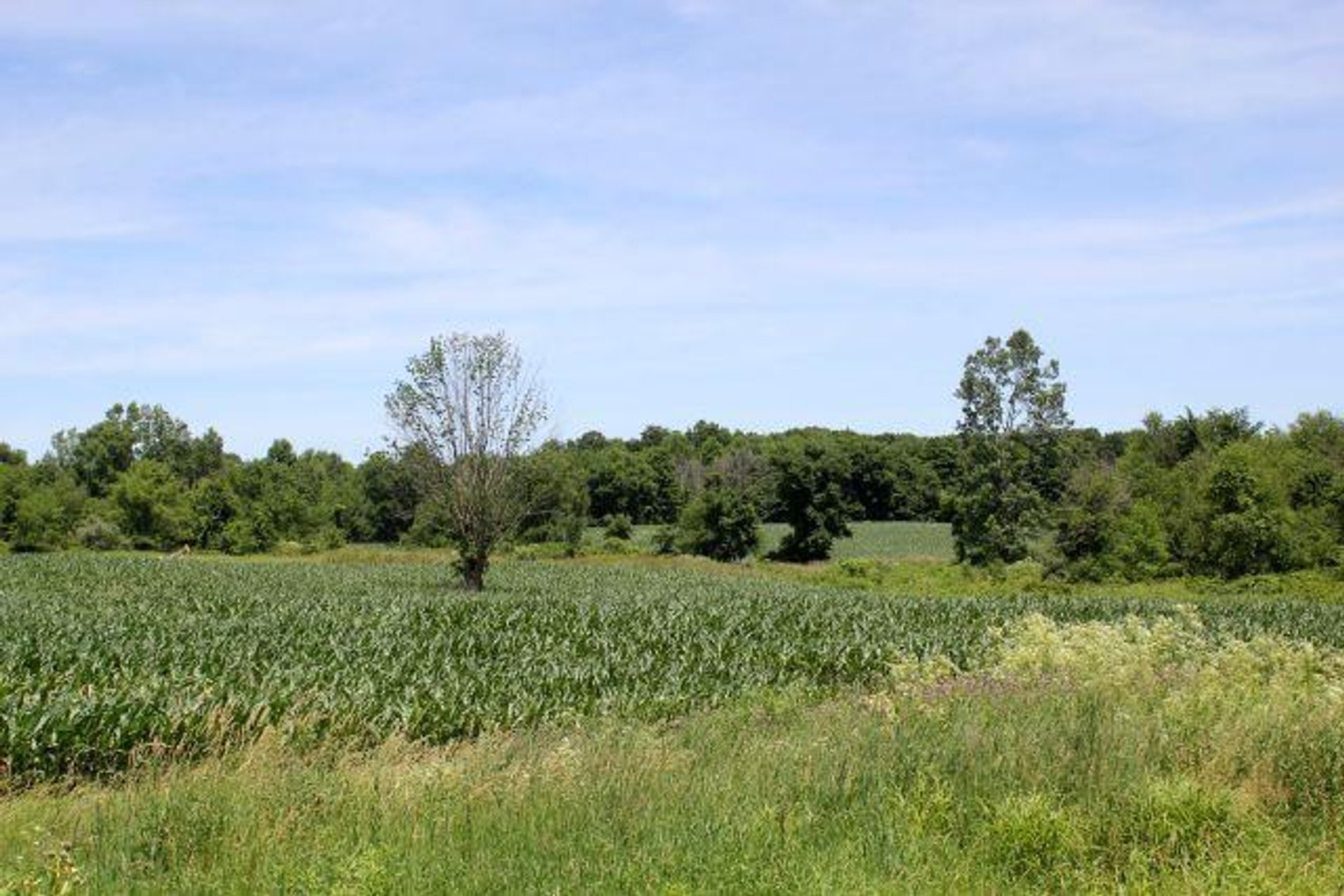 Image for 149 ACRES - 2 HOUSES - MULTI PARCEL