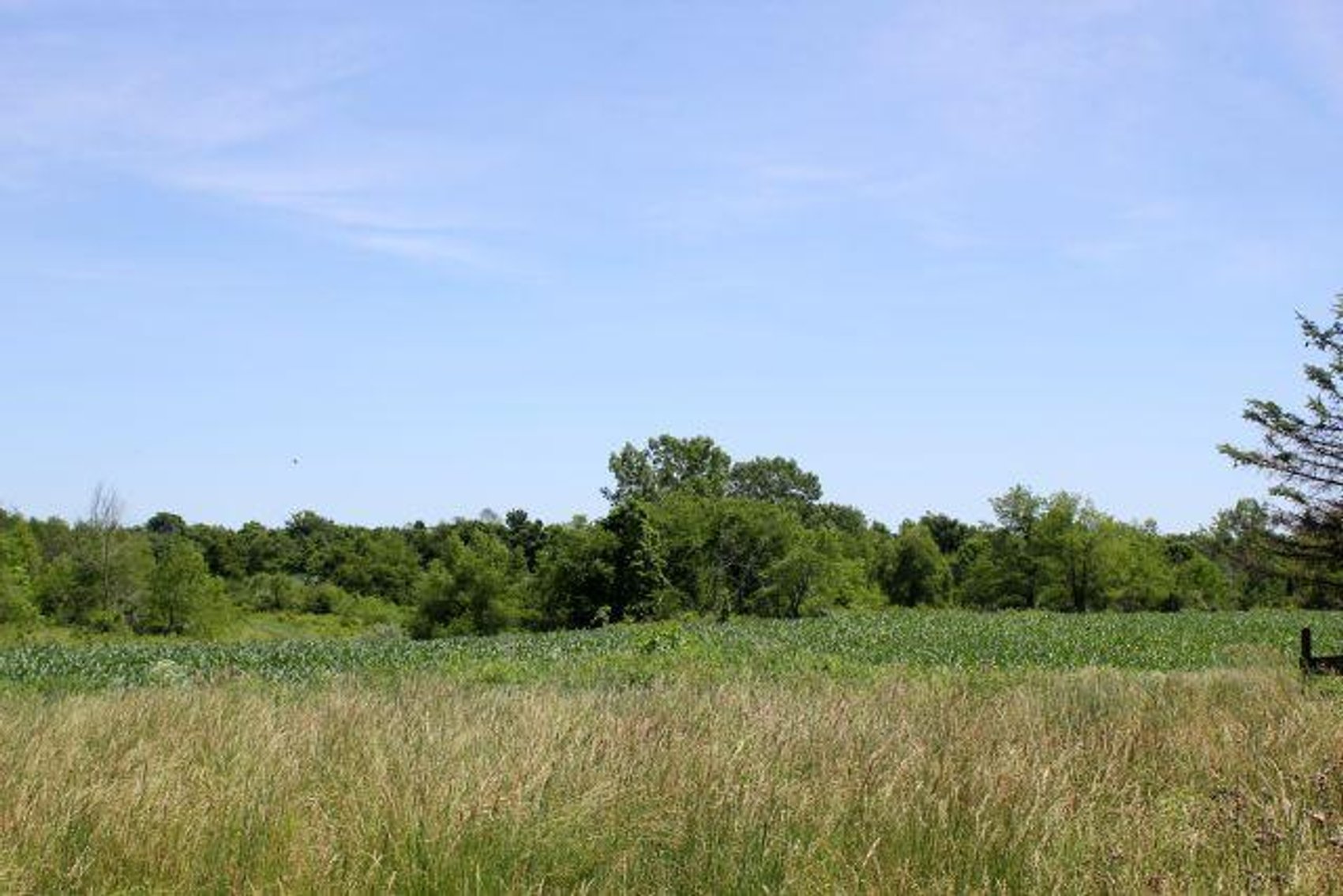 Image for 149 ACRES - 2 HOUSES - MULTI PARCEL