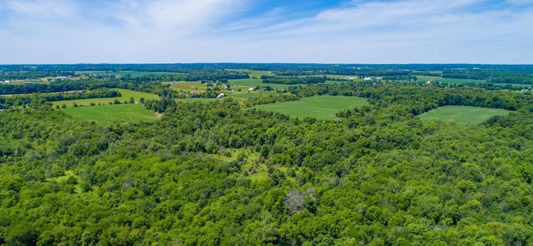 Image for 149 ACRES - 2 HOUSES - MULTI PARCEL