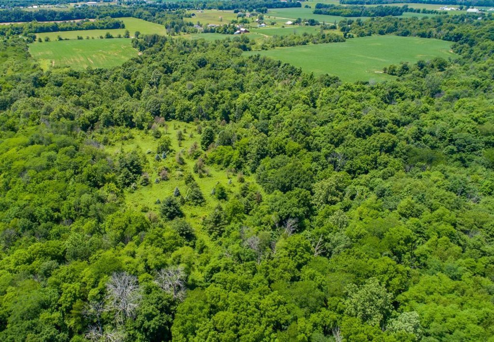 Image for 149 ACRES - 2 HOUSES - MULTI PARCEL