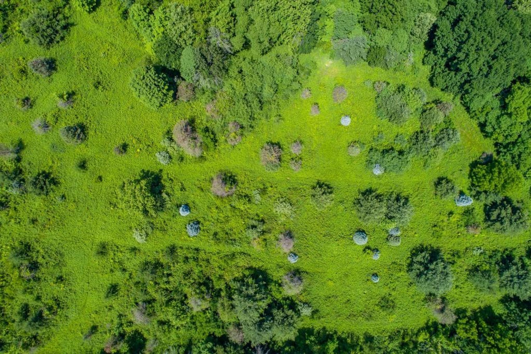 Image for 149 ACRES - 2 HOUSES - MULTI PARCEL