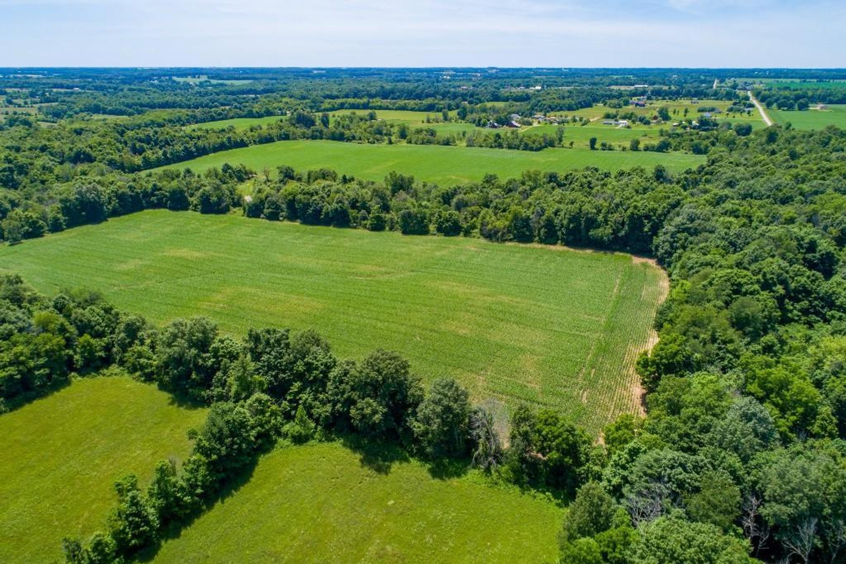 Image for 149 ACRES - 2 HOUSES - MULTI PARCEL