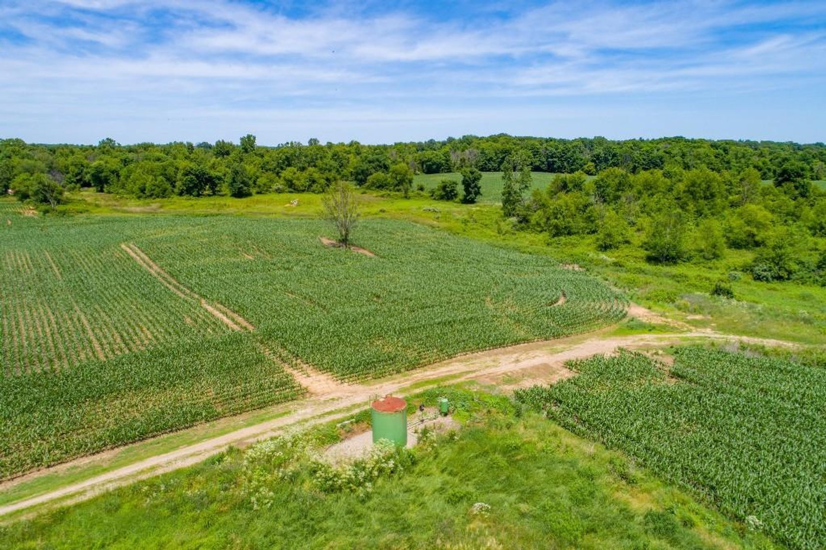 Image for 149 ACRES - 2 HOUSES - MULTI PARCEL