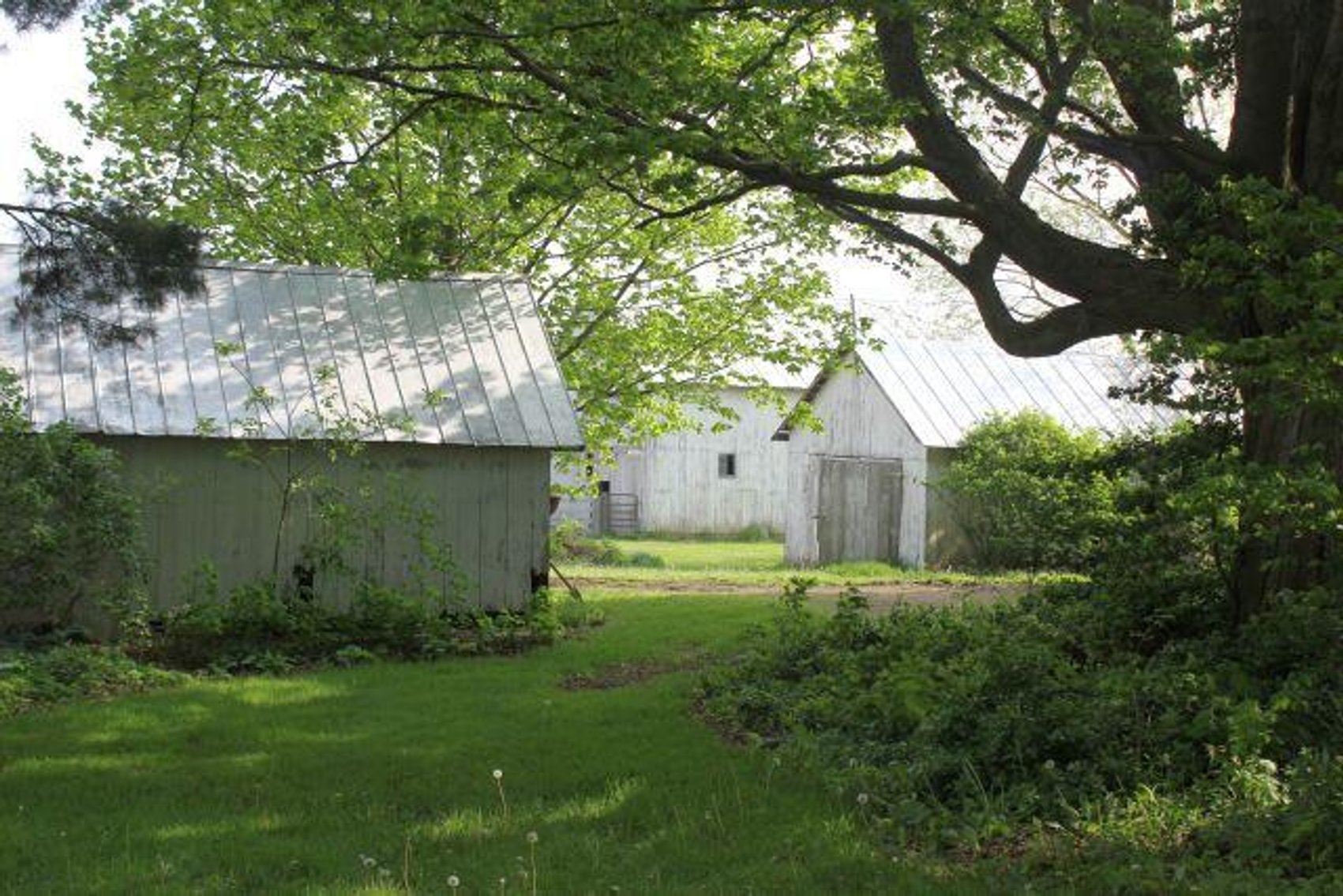 Image for GAUCH REAL ESTATE AUCTION