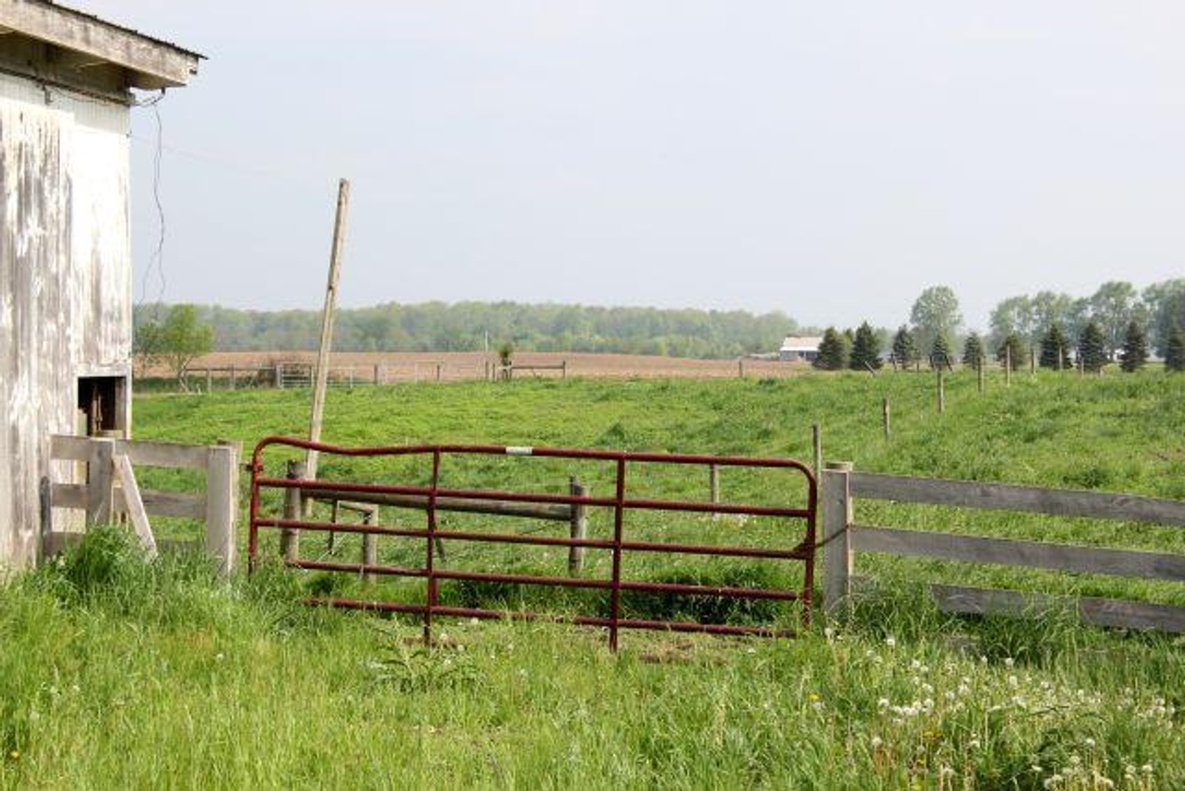 Image for GAUCH REAL ESTATE AUCTION