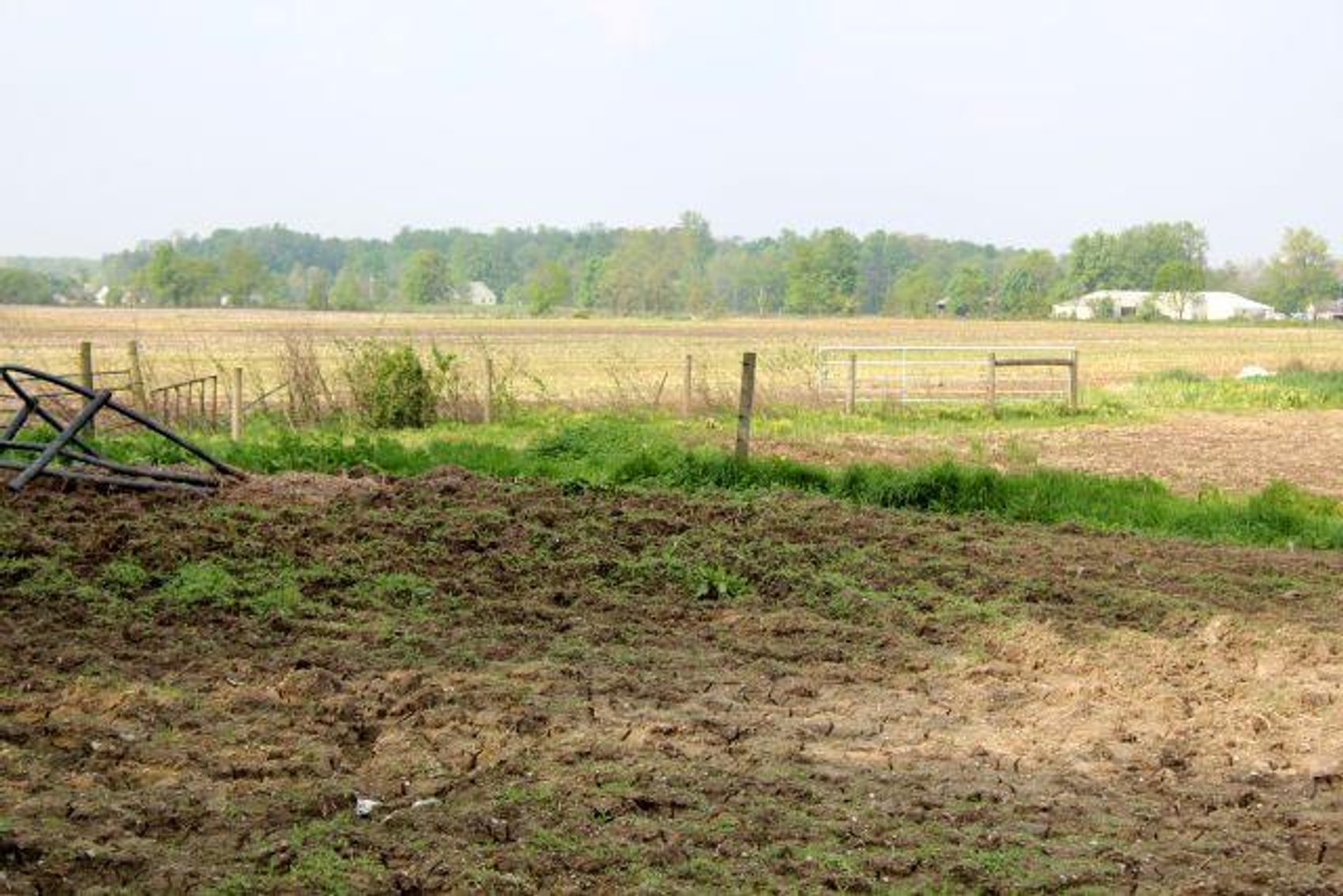 Image for GAUCH REAL ESTATE AUCTION