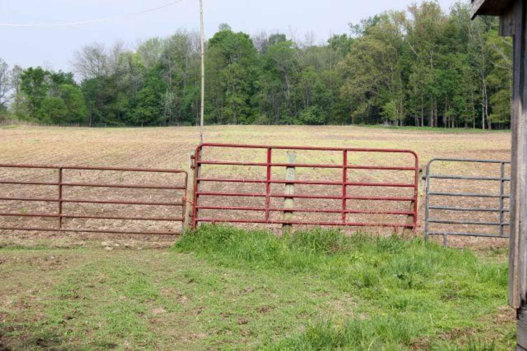 Image for GAUCH REAL ESTATE AUCTION