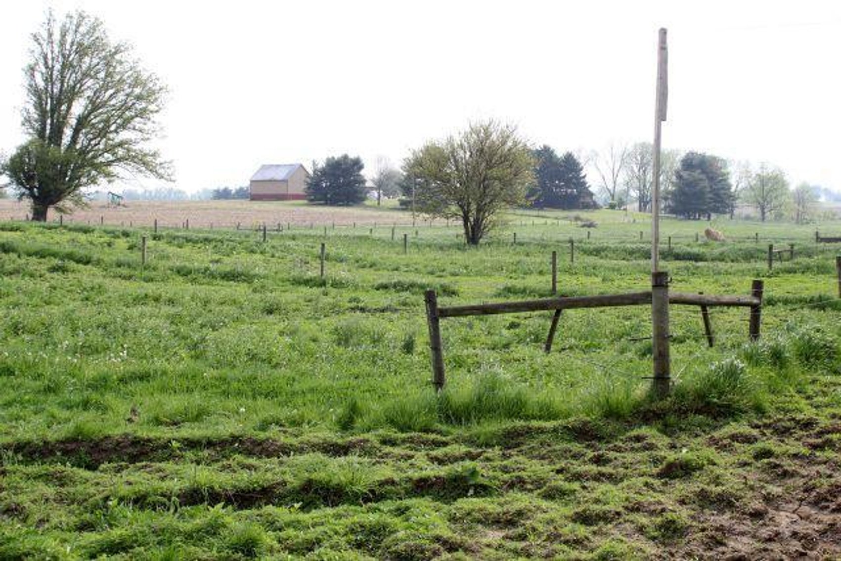 Image for GAUCH REAL ESTATE AUCTION