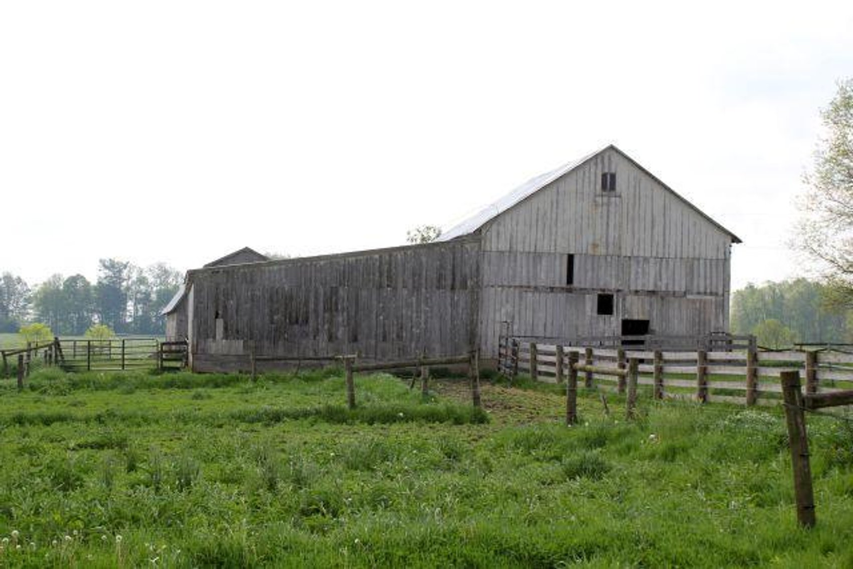 Image for GAUCH REAL ESTATE AUCTION